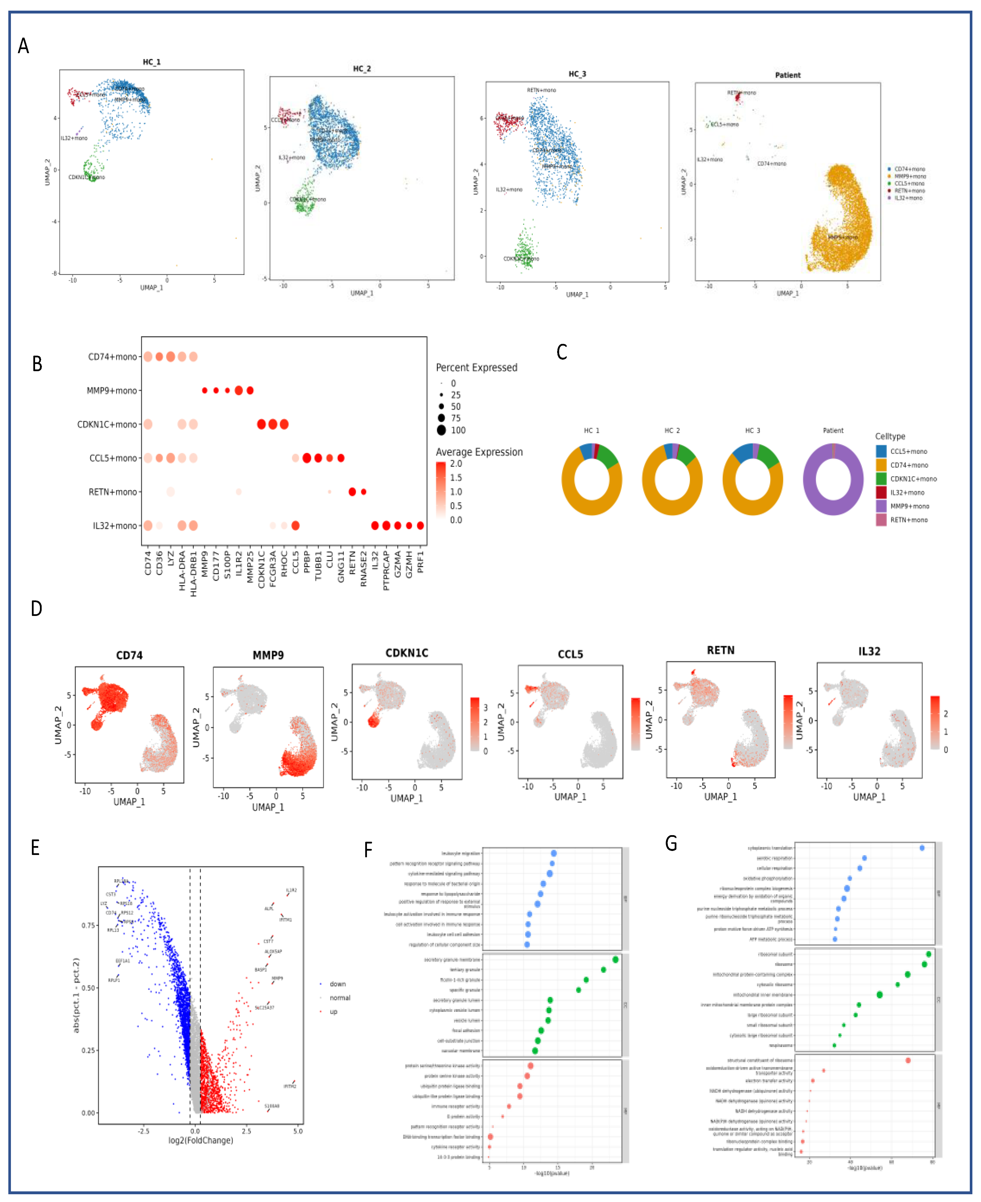Preprints 171624 g002