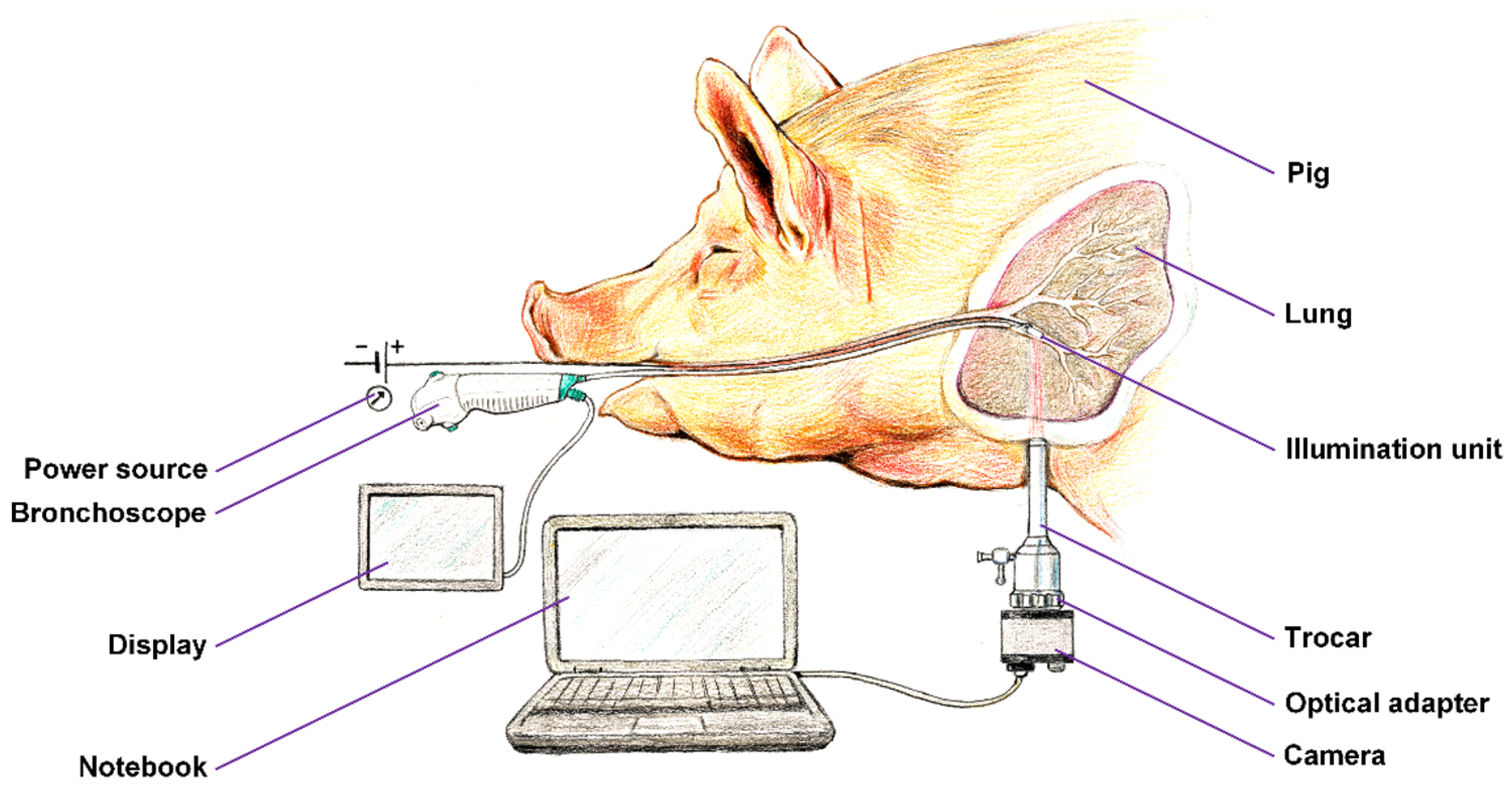 Preprints 171693 g003