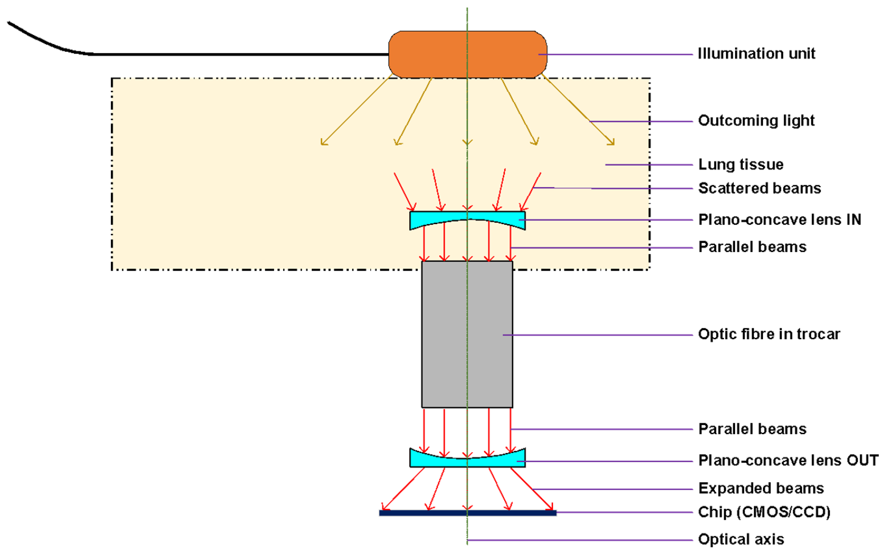 Preprints 171693 g004