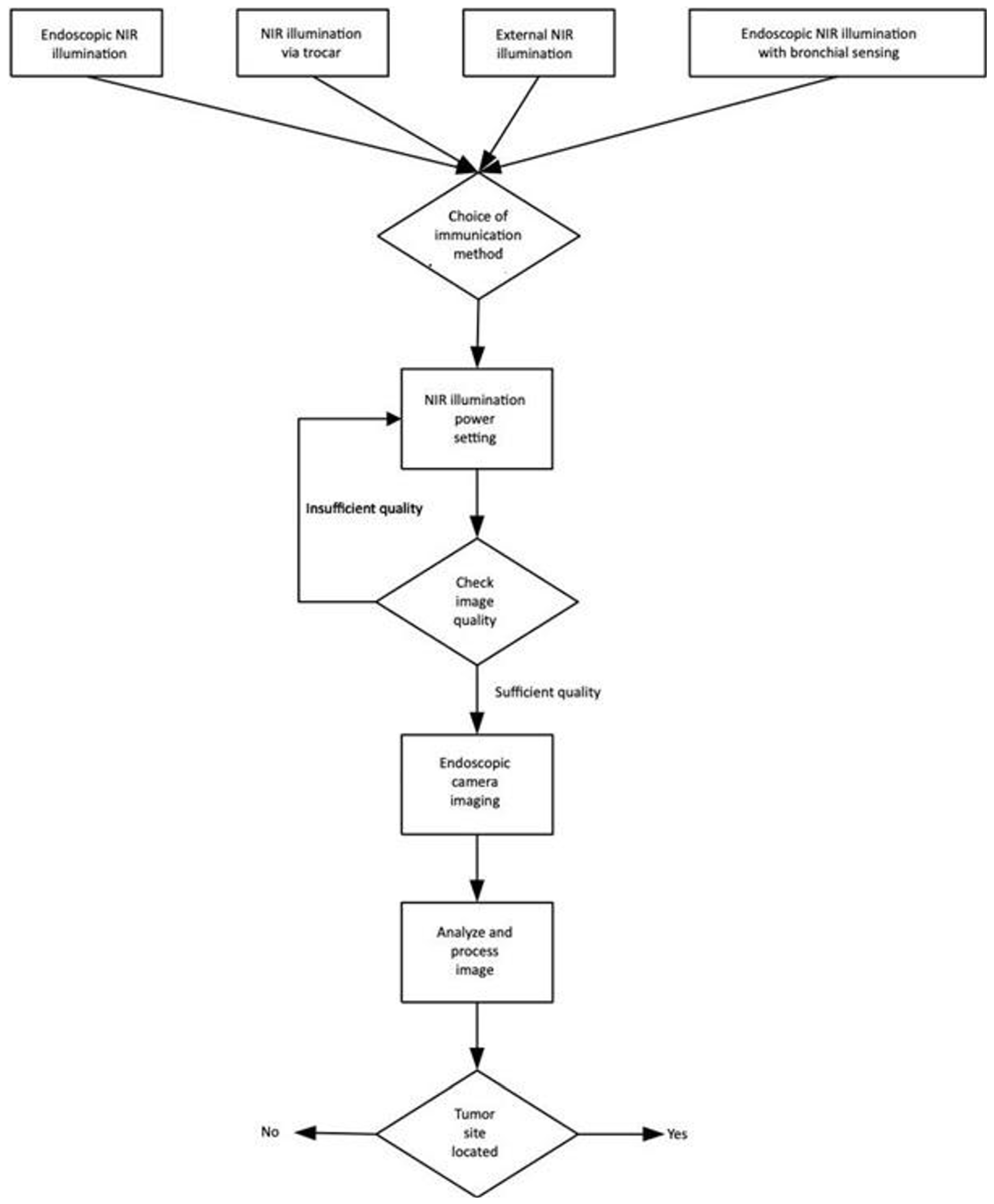 Preprints 171693 g006