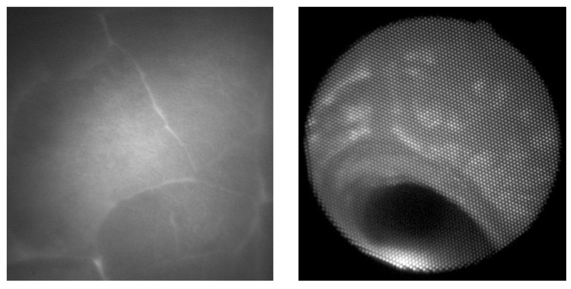Preprints 171693 g007