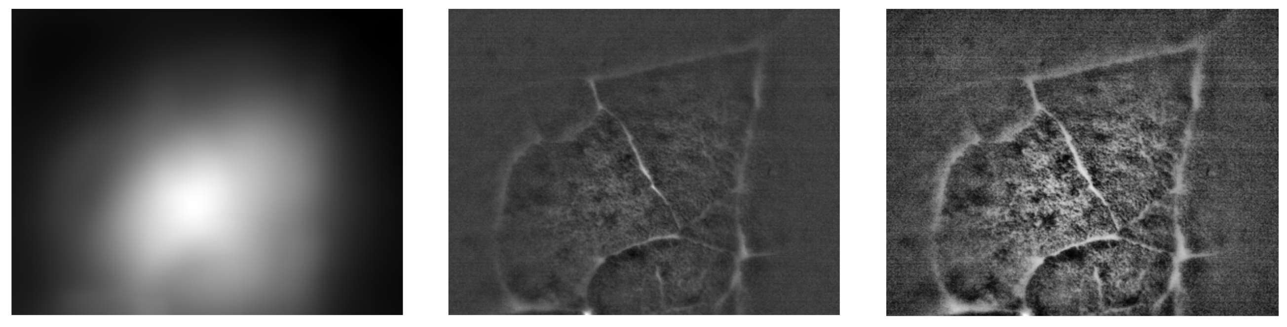 Preprints 171693 g008