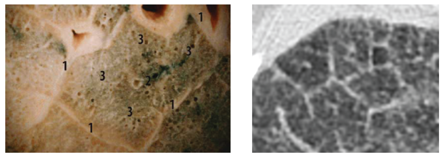 Preprints 171693 g009