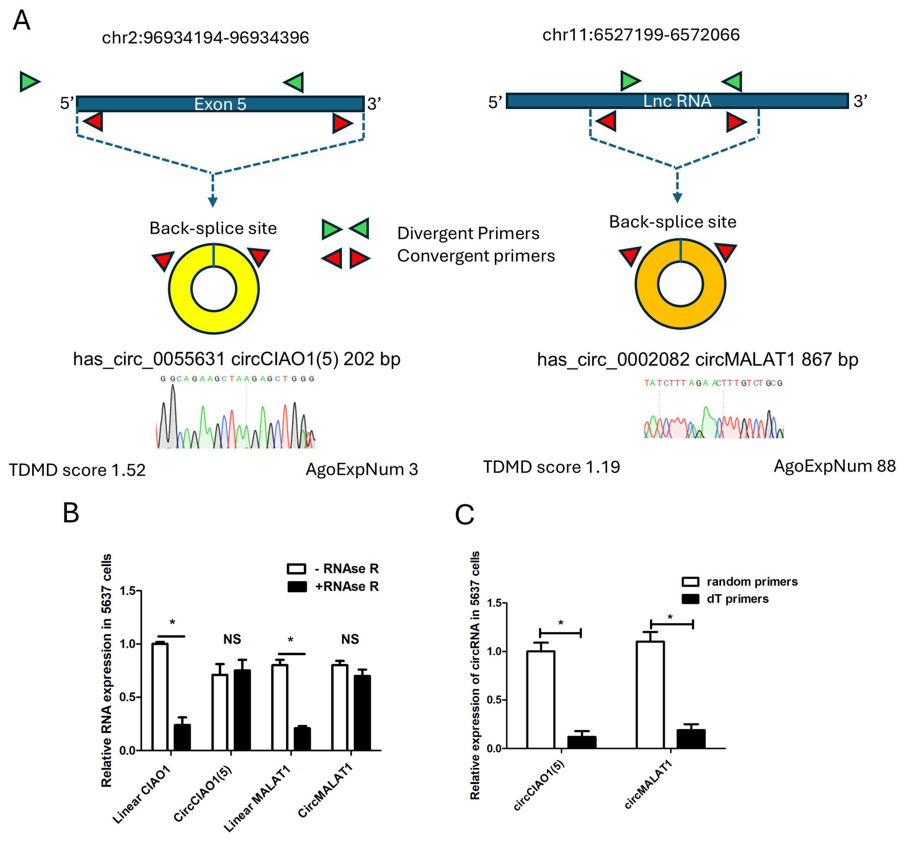 Preprints 201636 g002