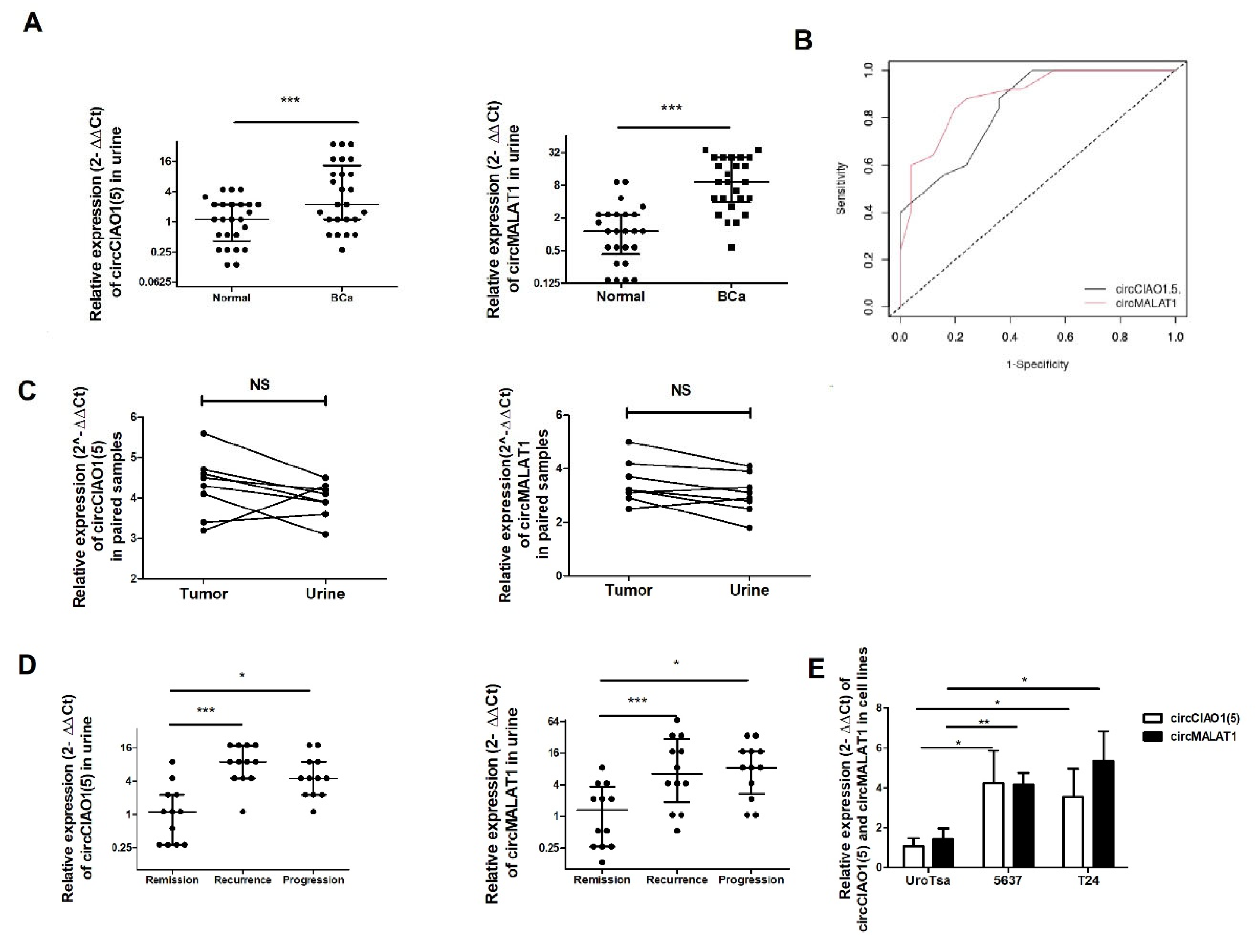 Preprints 201636 g003