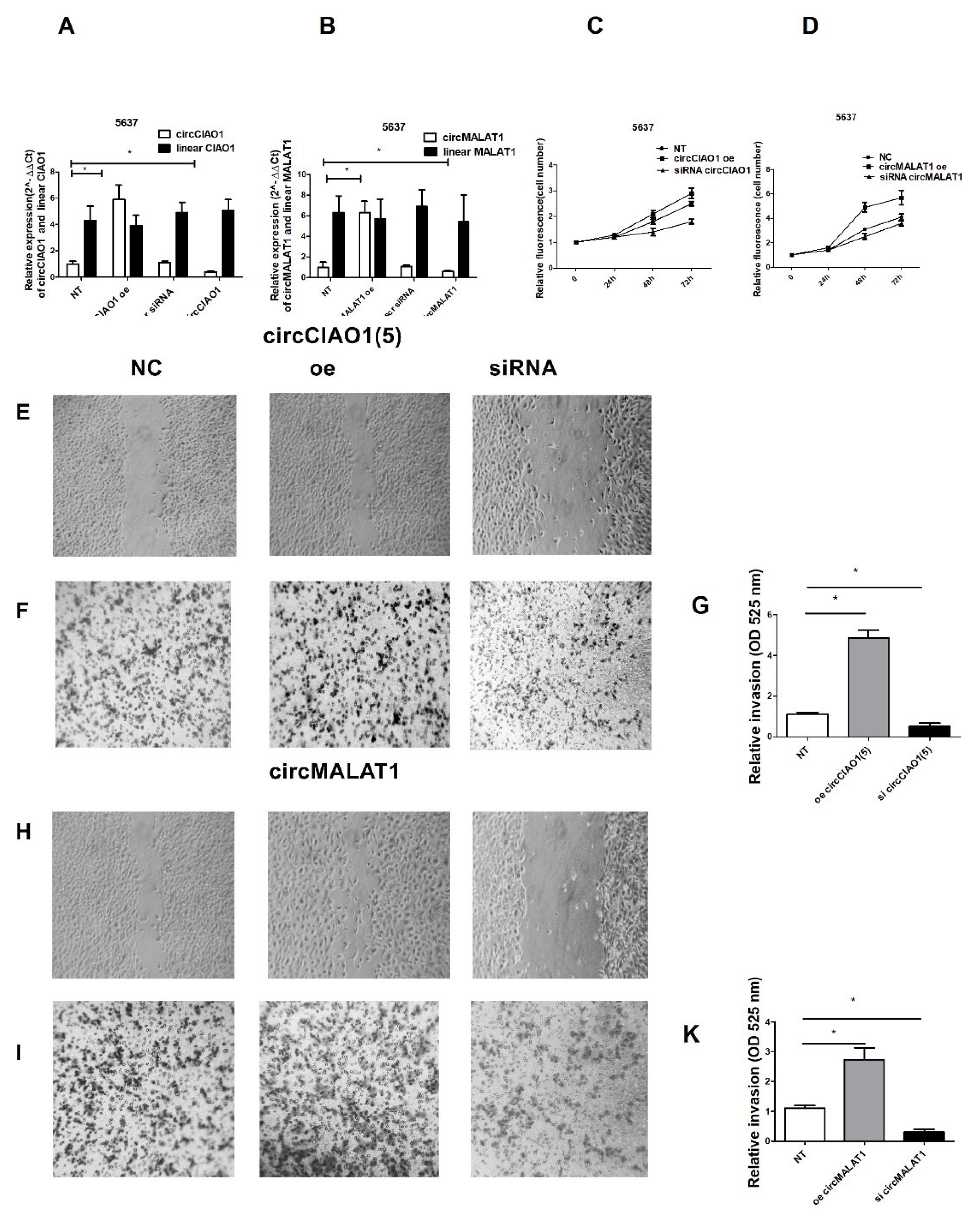 Preprints 201636 g004