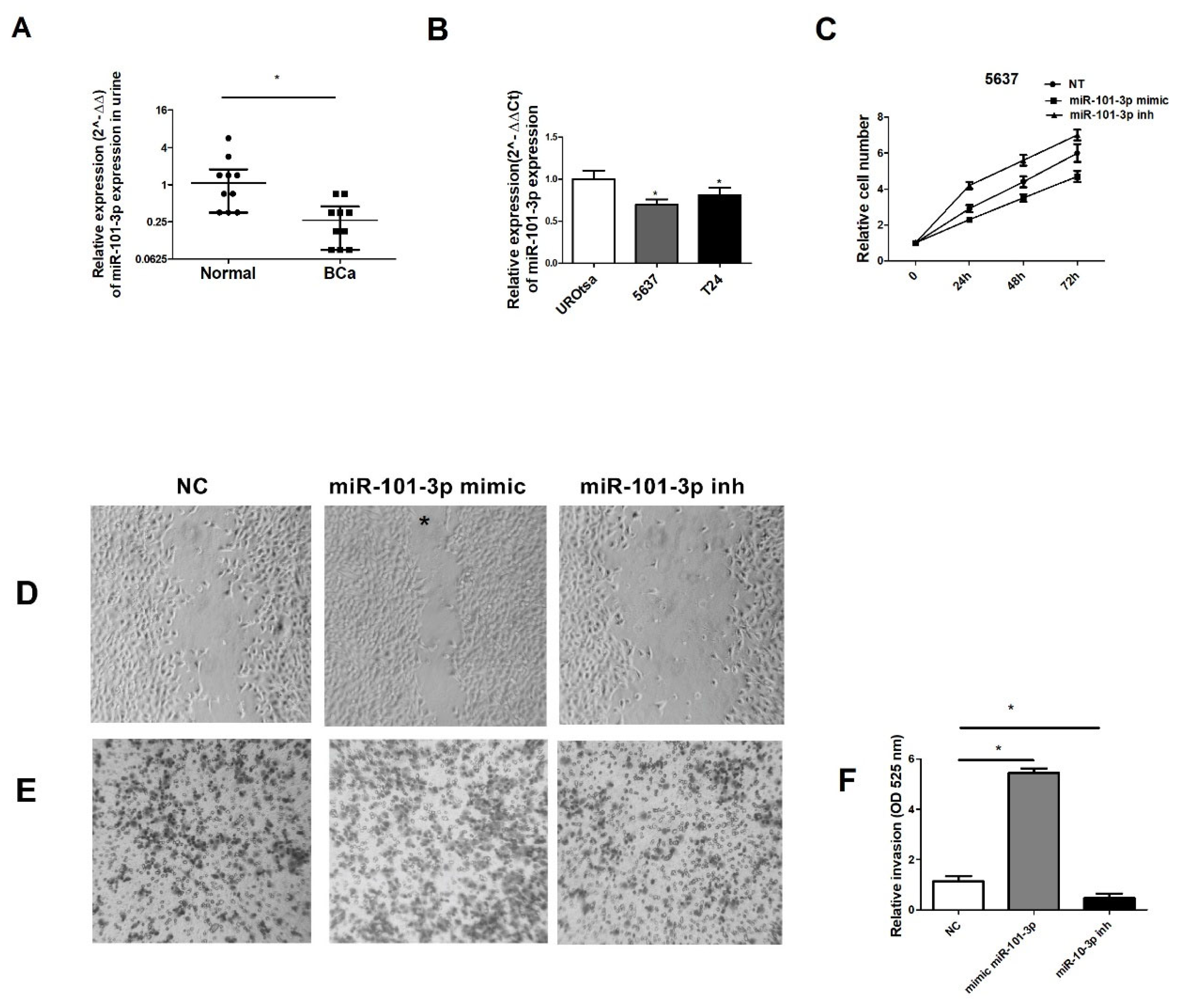 Preprints 201636 g006