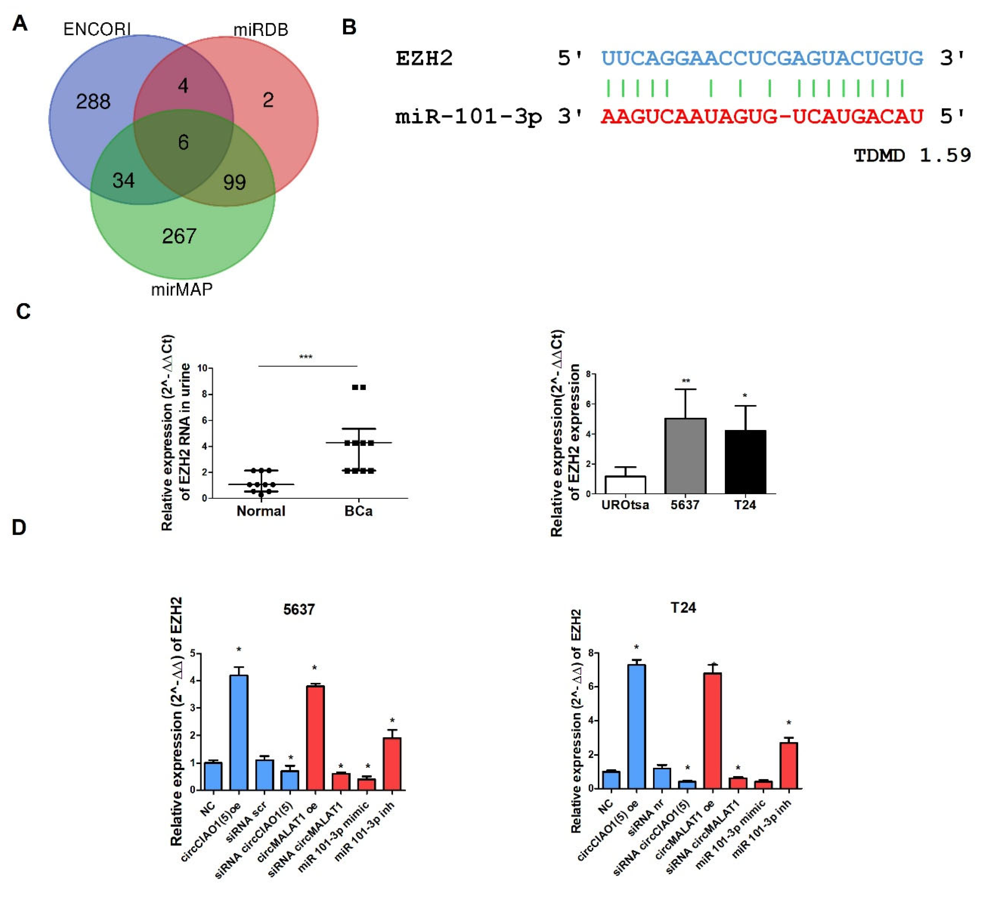 Preprints 201636 g007