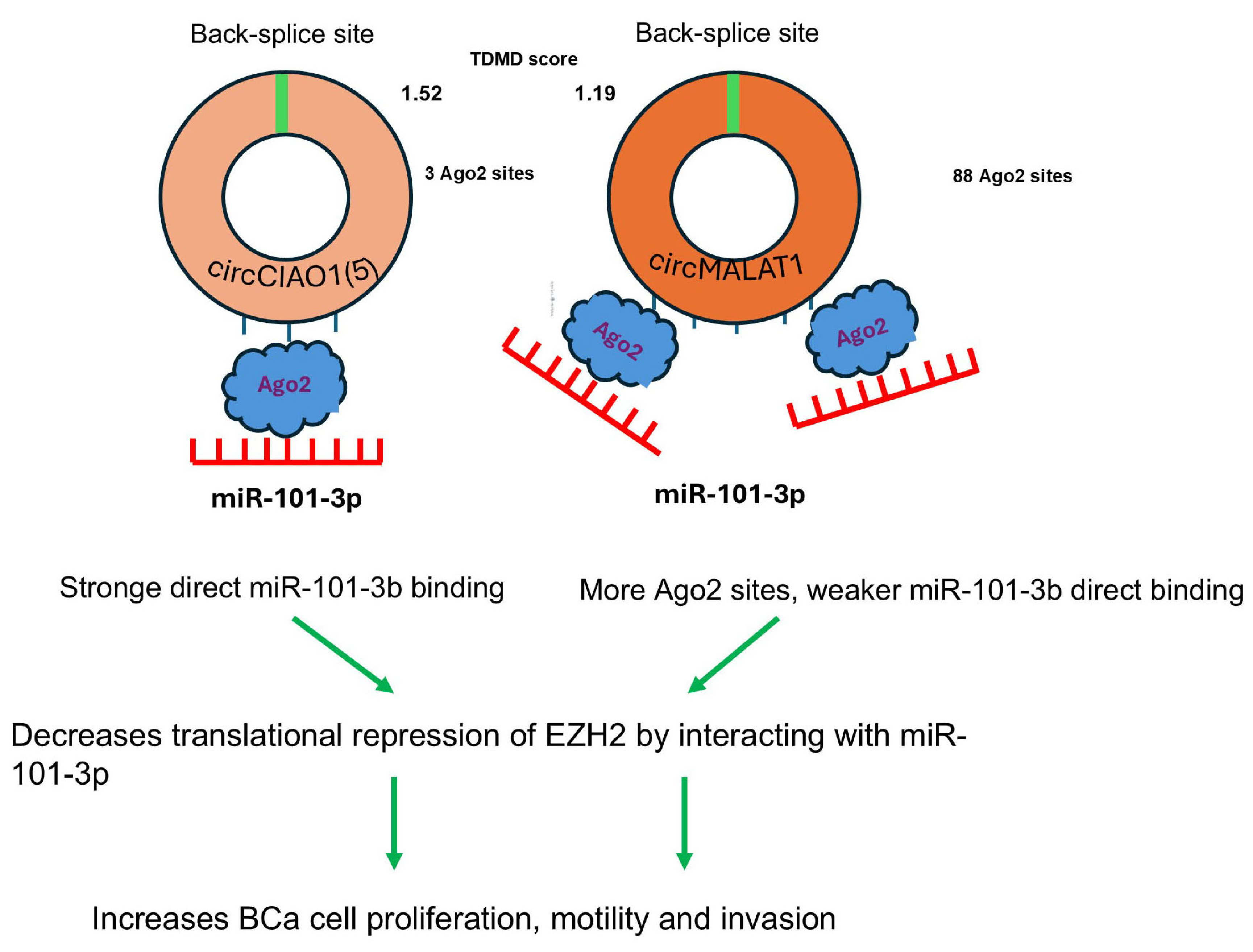 Preprints 201636 g008