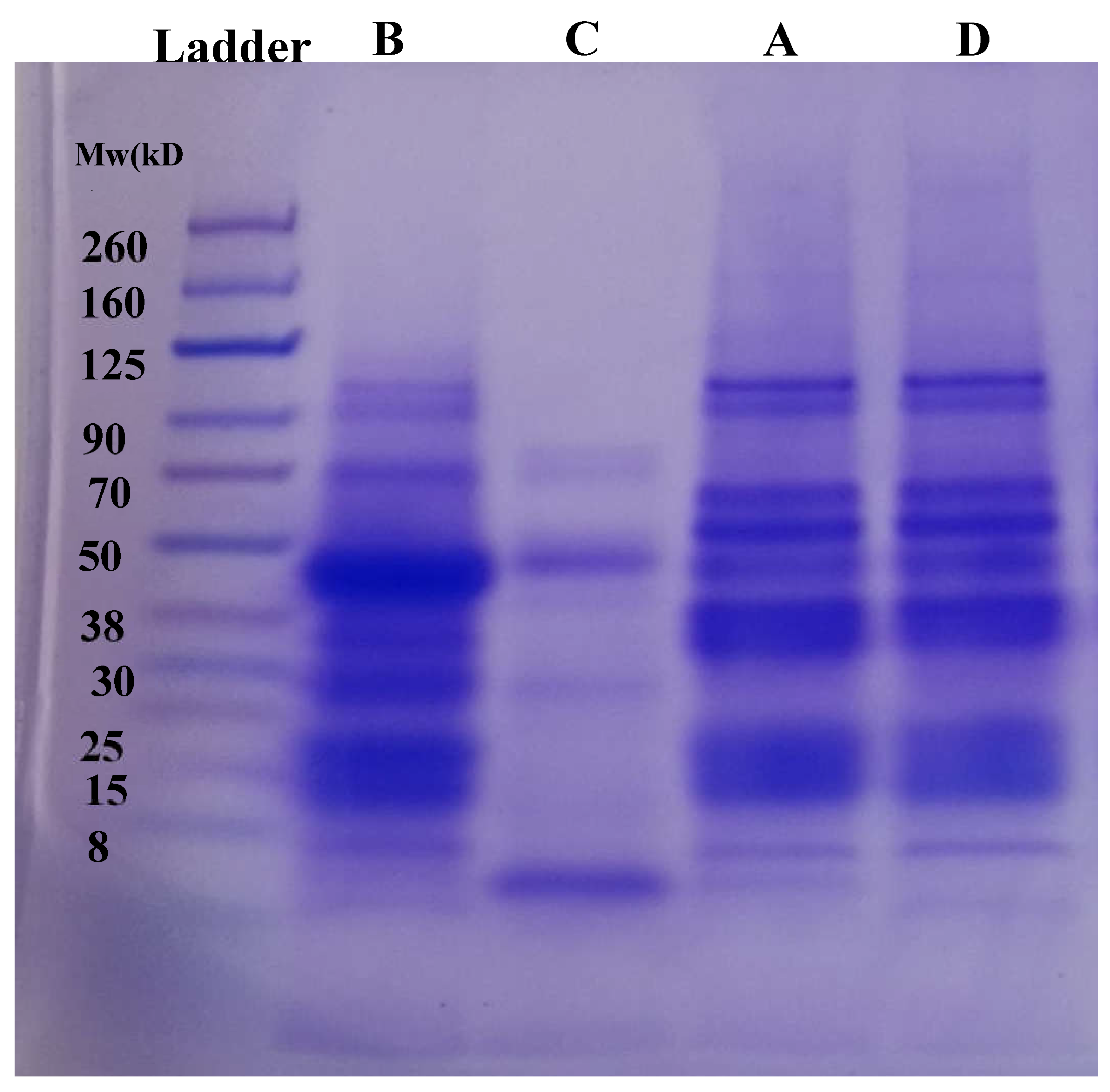 Preprints 153350 g005