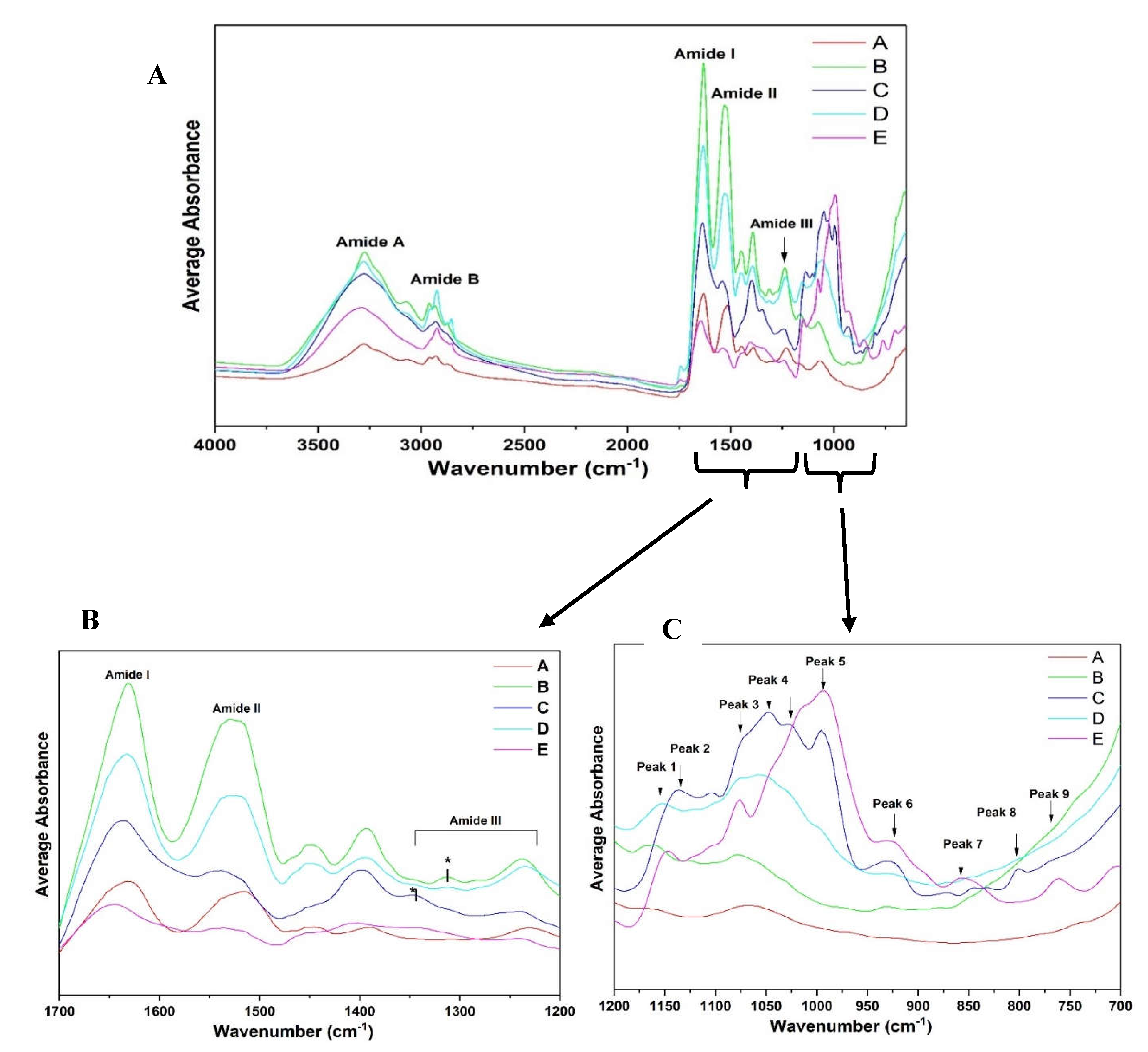Preprints 153350 g007