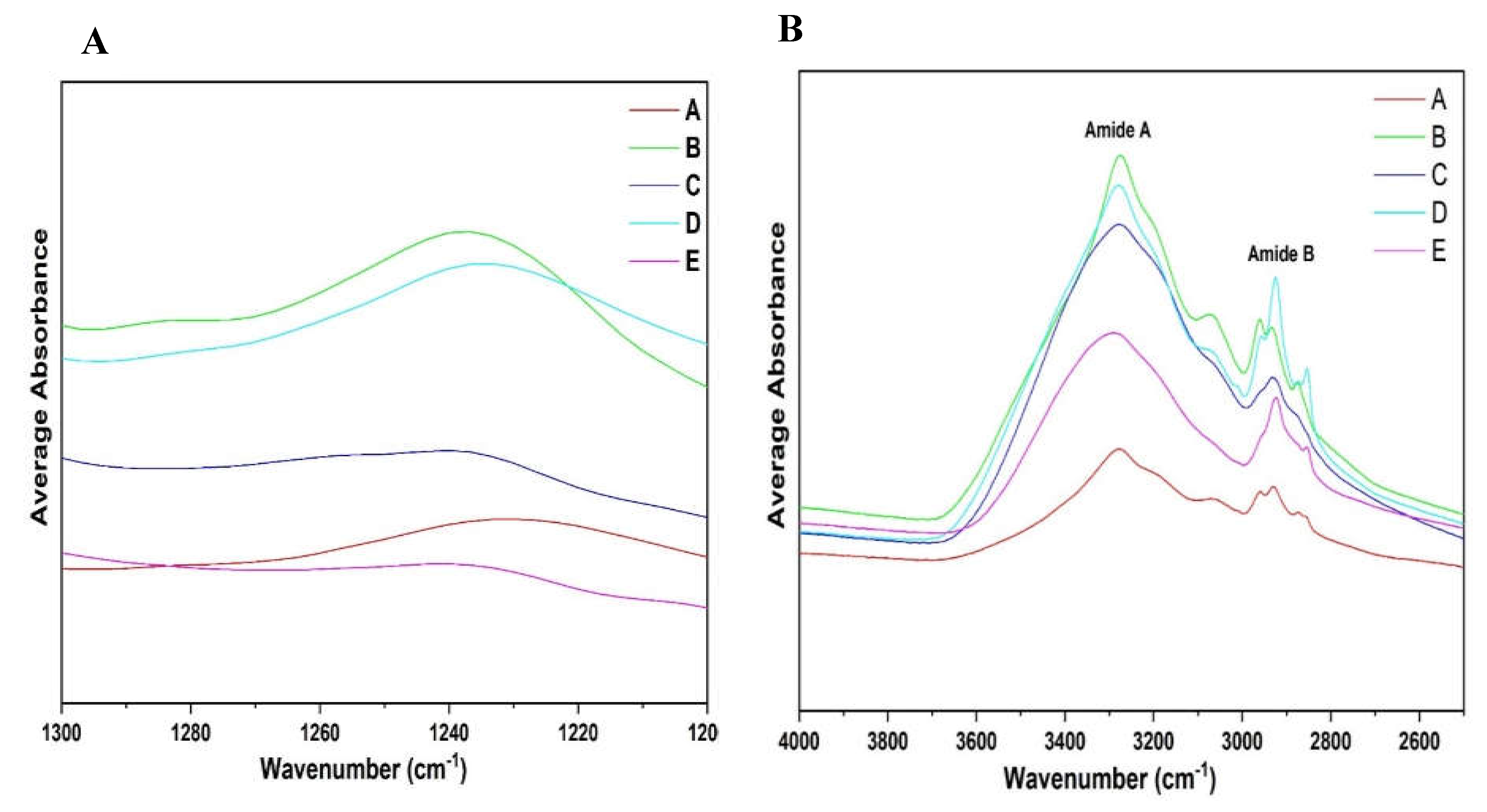Preprints 153350 g010