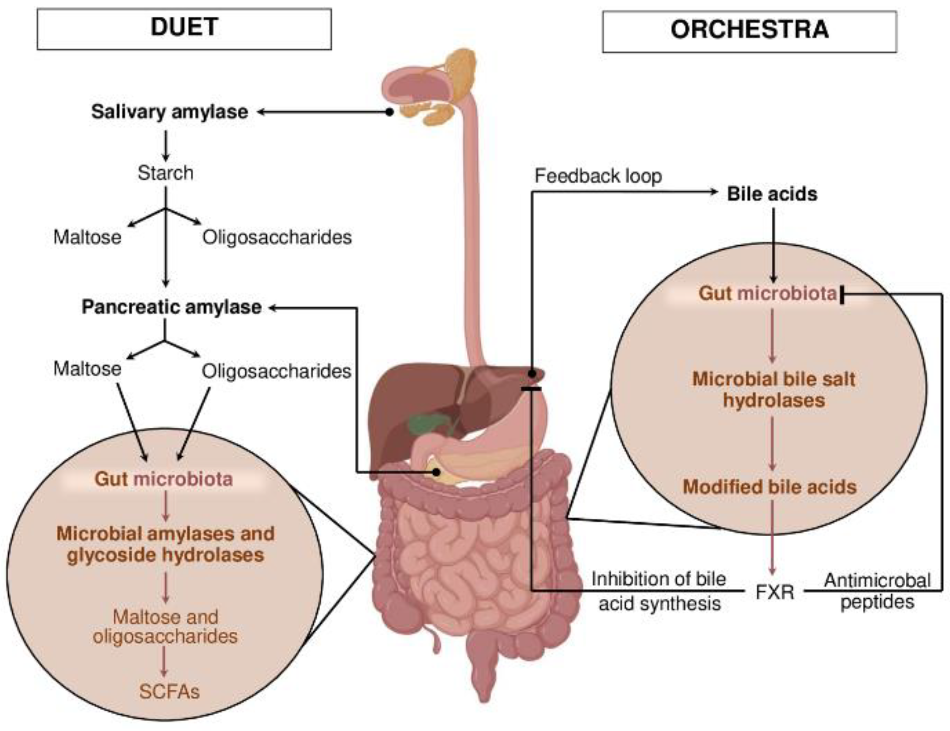 Preprints 166177 g001