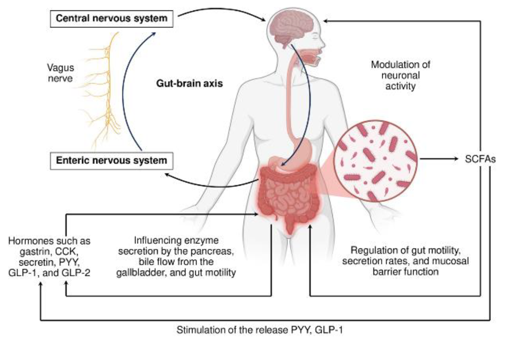Preprints 166177 g002