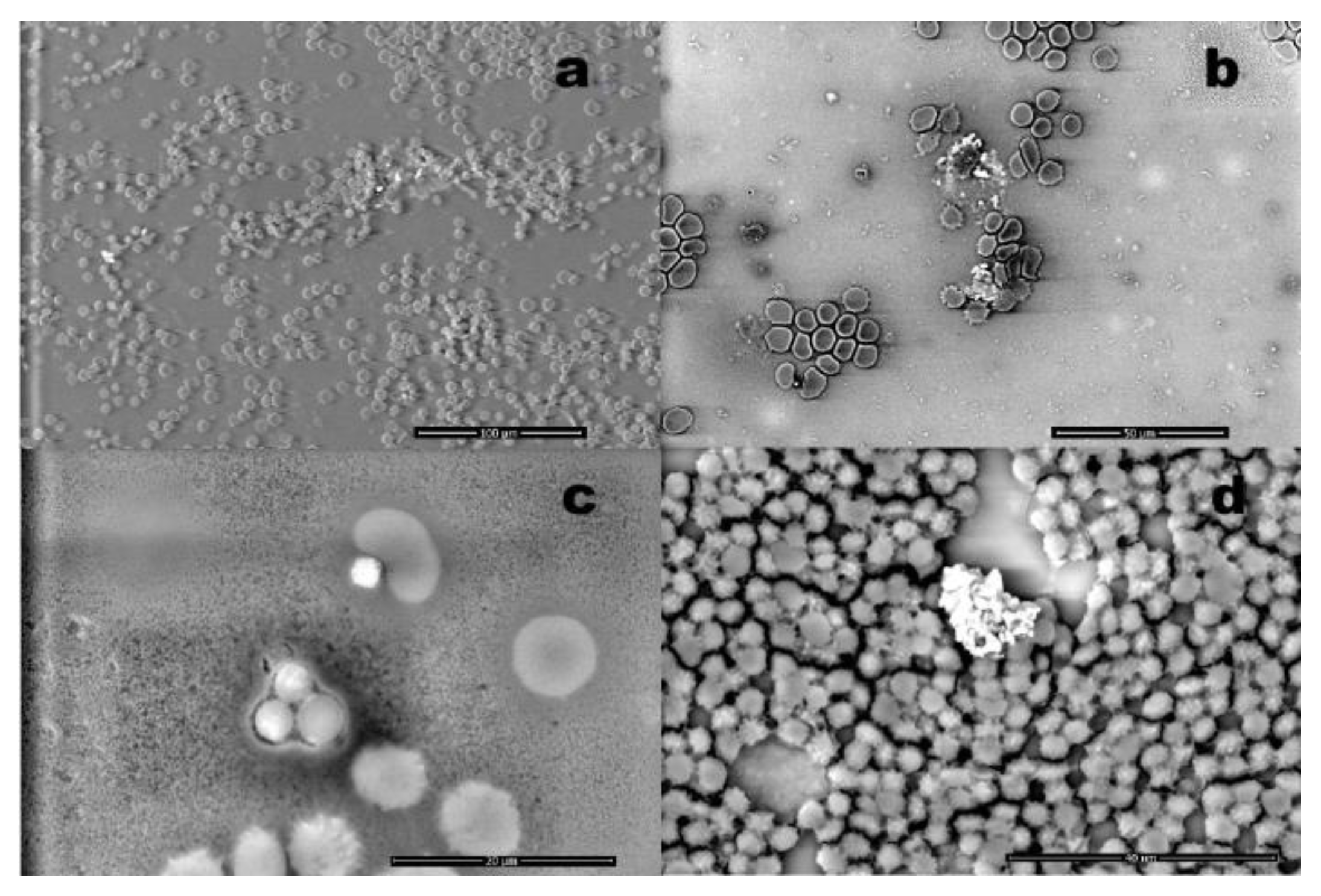 Preprints 170215 g002
