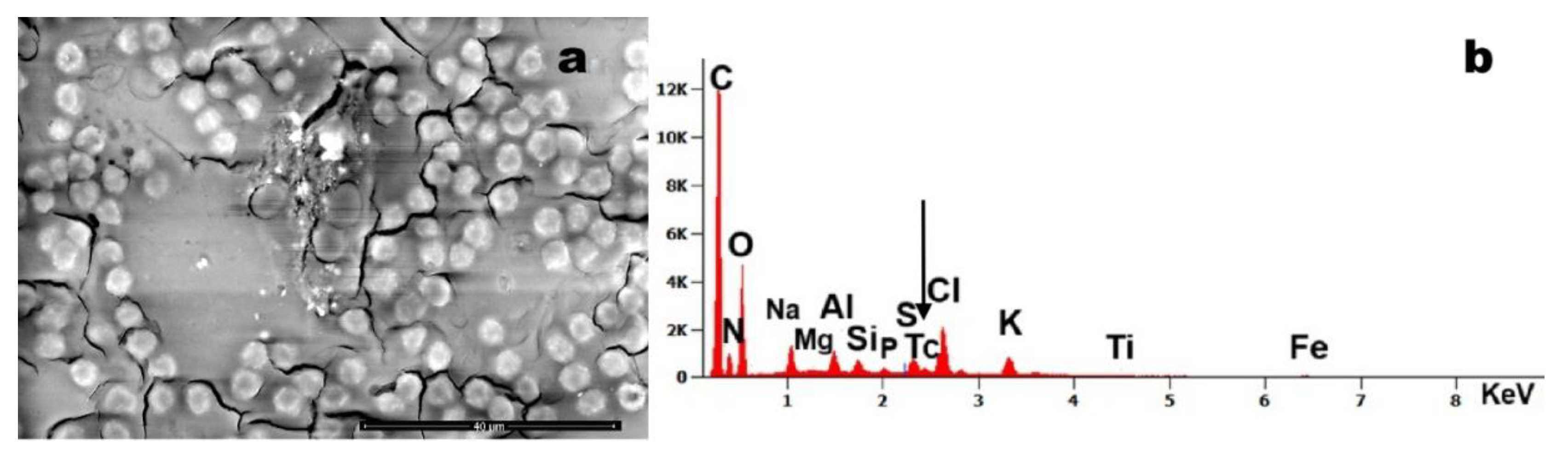 Preprints 170215 g003