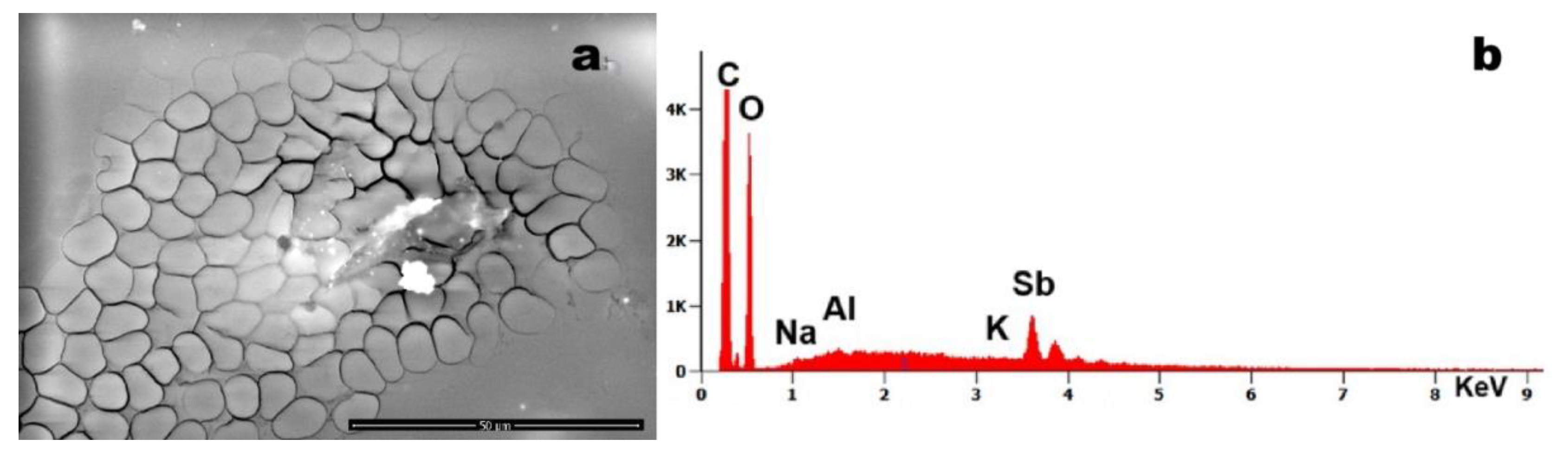 Preprints 170215 g004