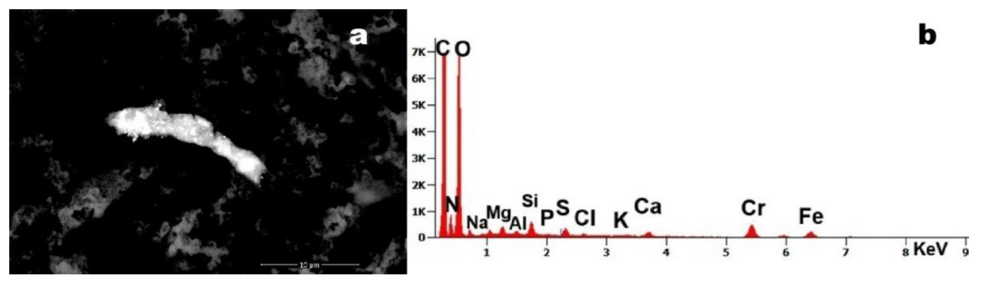 Preprints 170215 g005