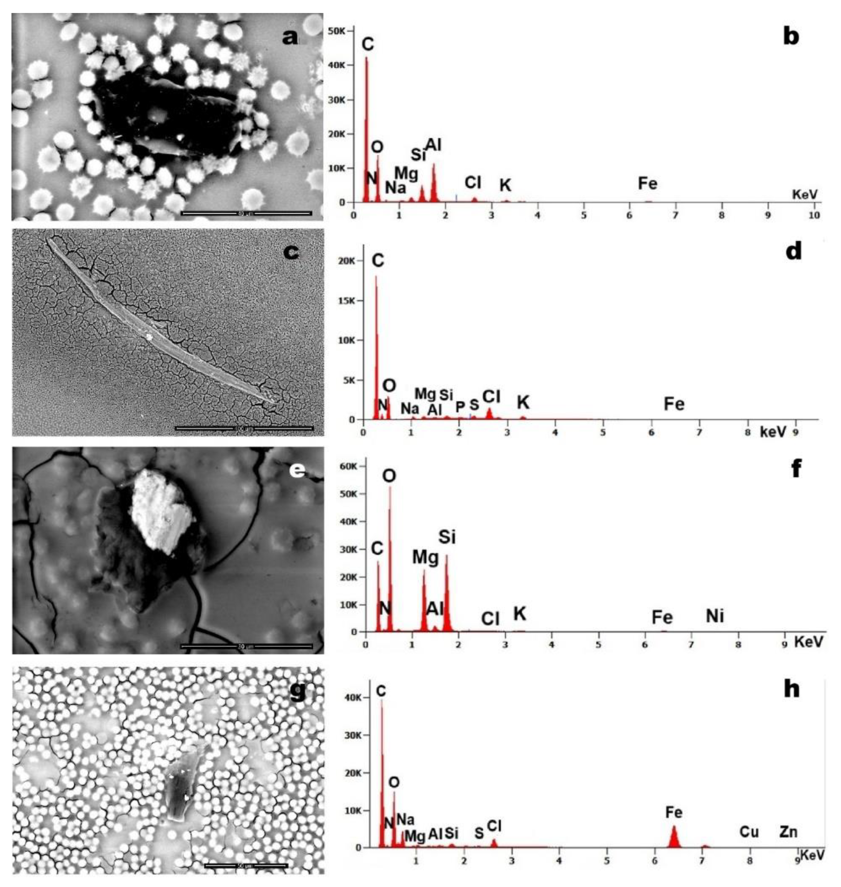 Preprints 170215 g007