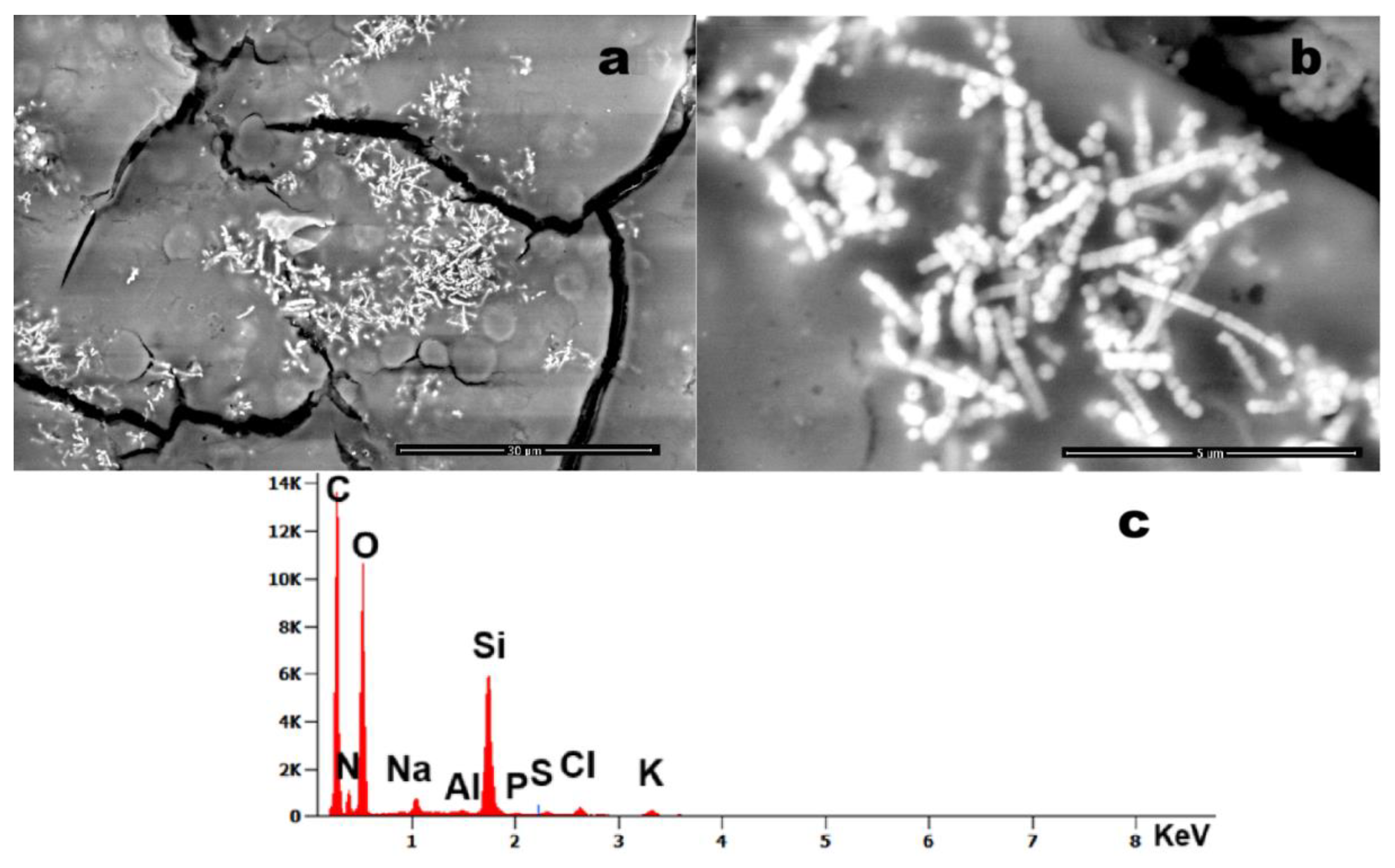 Preprints 170215 g008