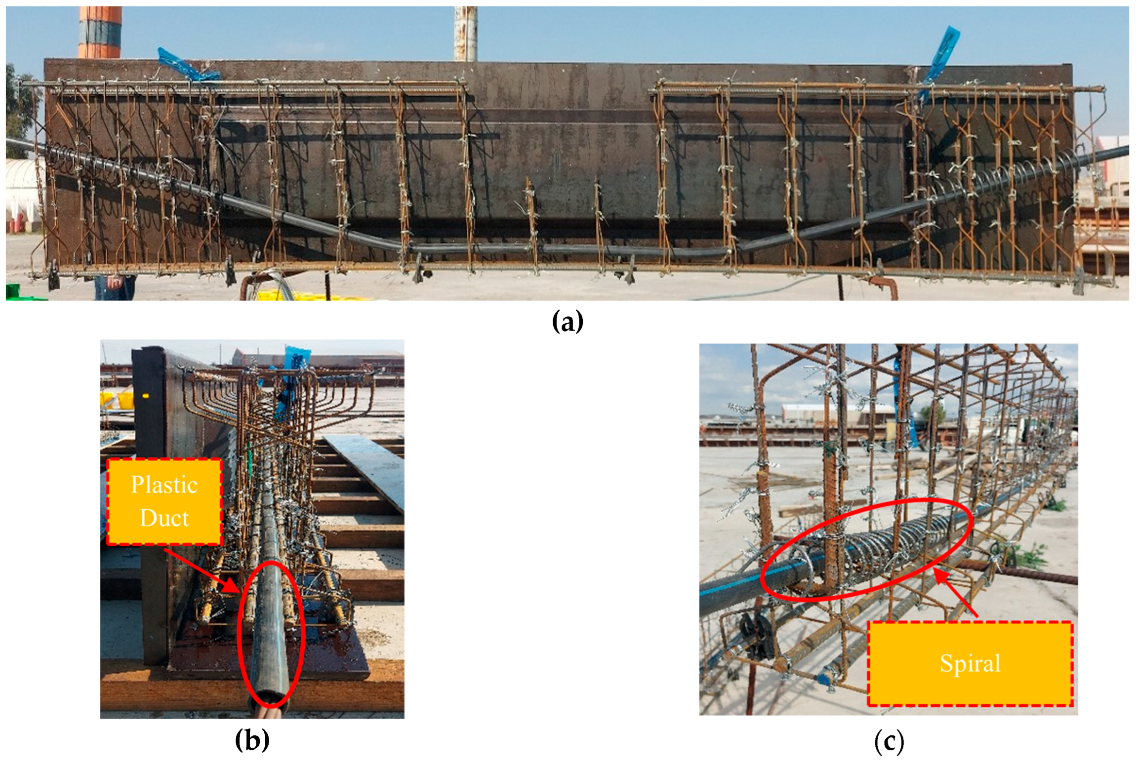 Preprints 167657 g006
