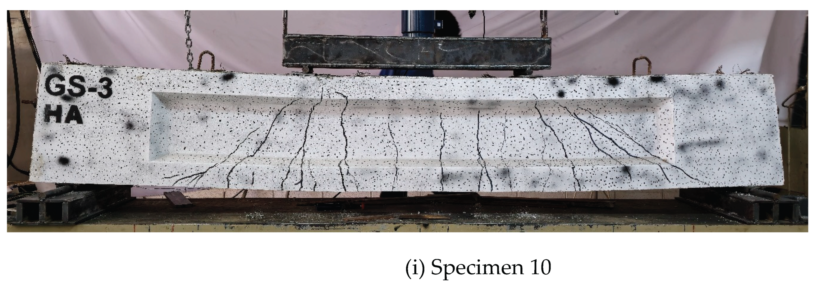 Preprints 167657 g012d