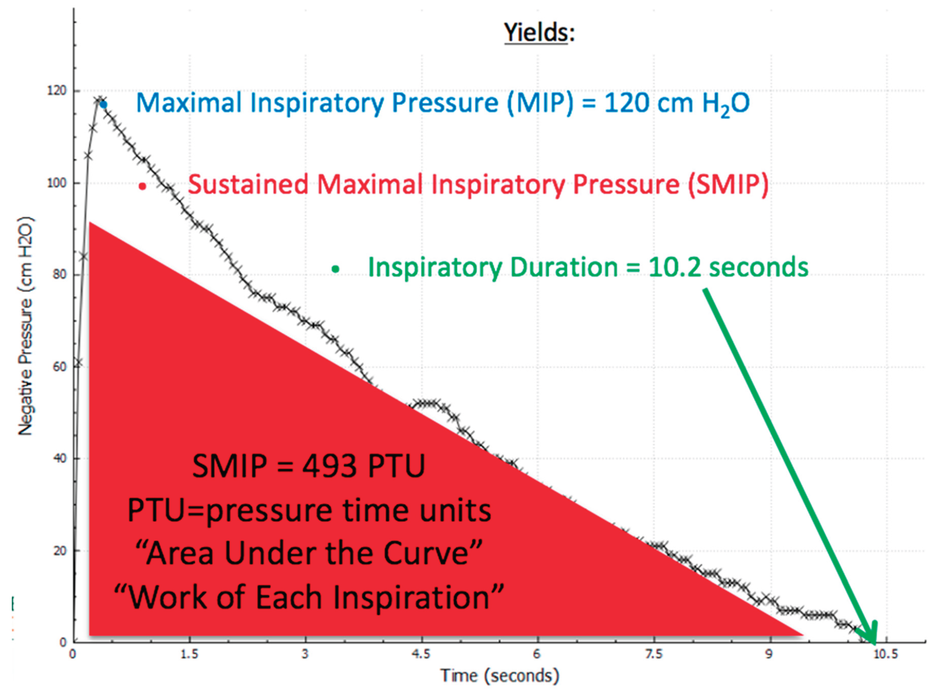 Preprints 164527 g001