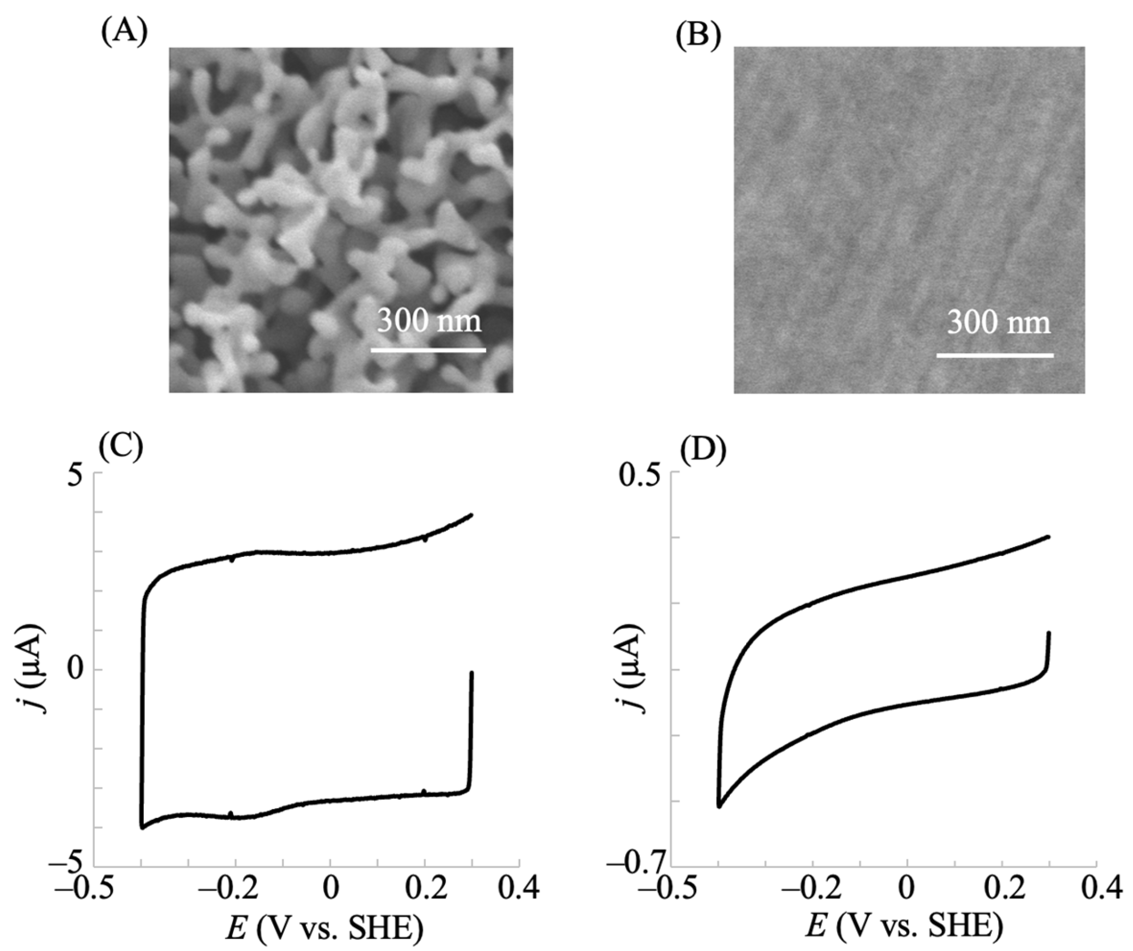 Preprints 148089 g001