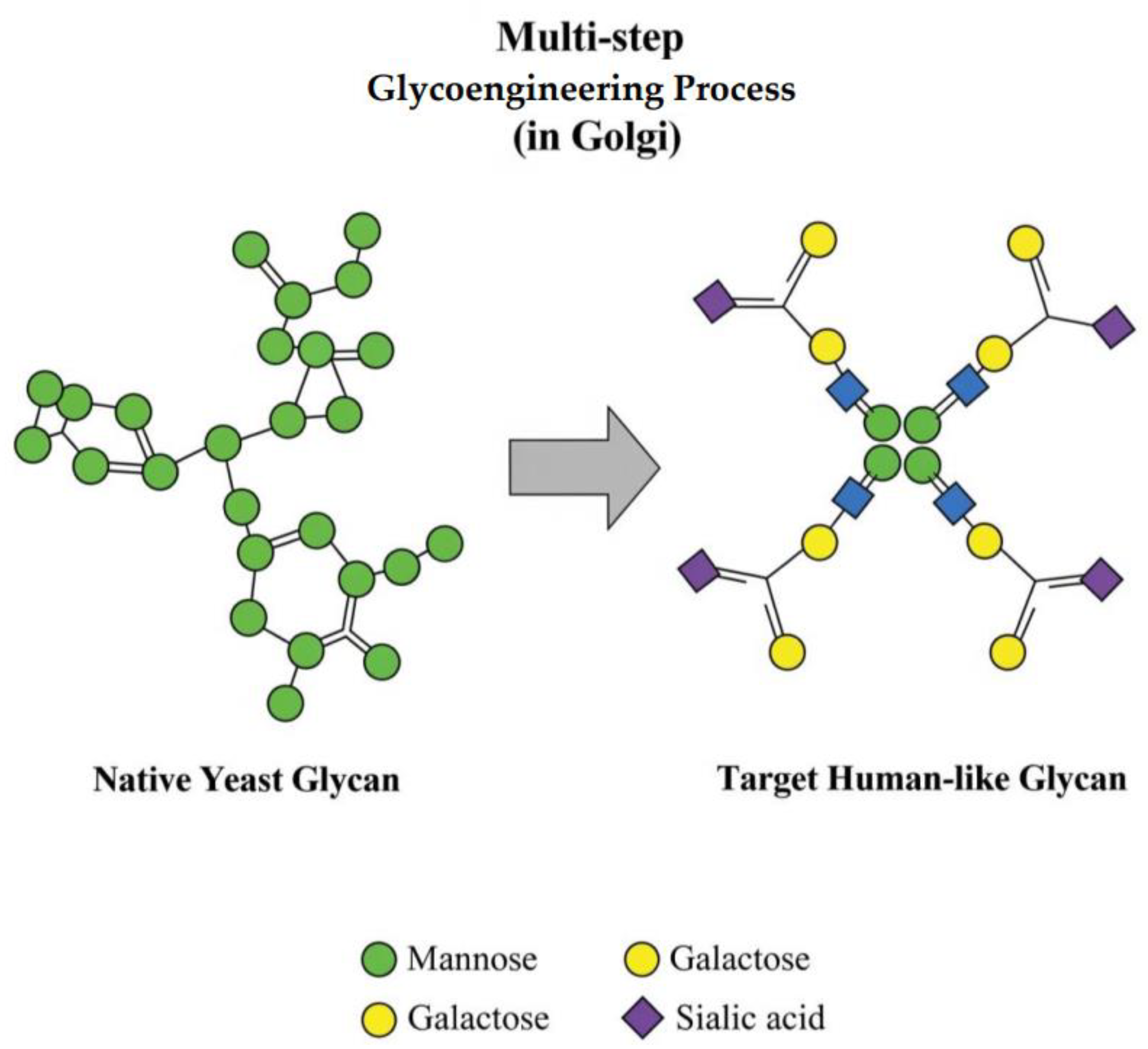 Preprints 172806 g001