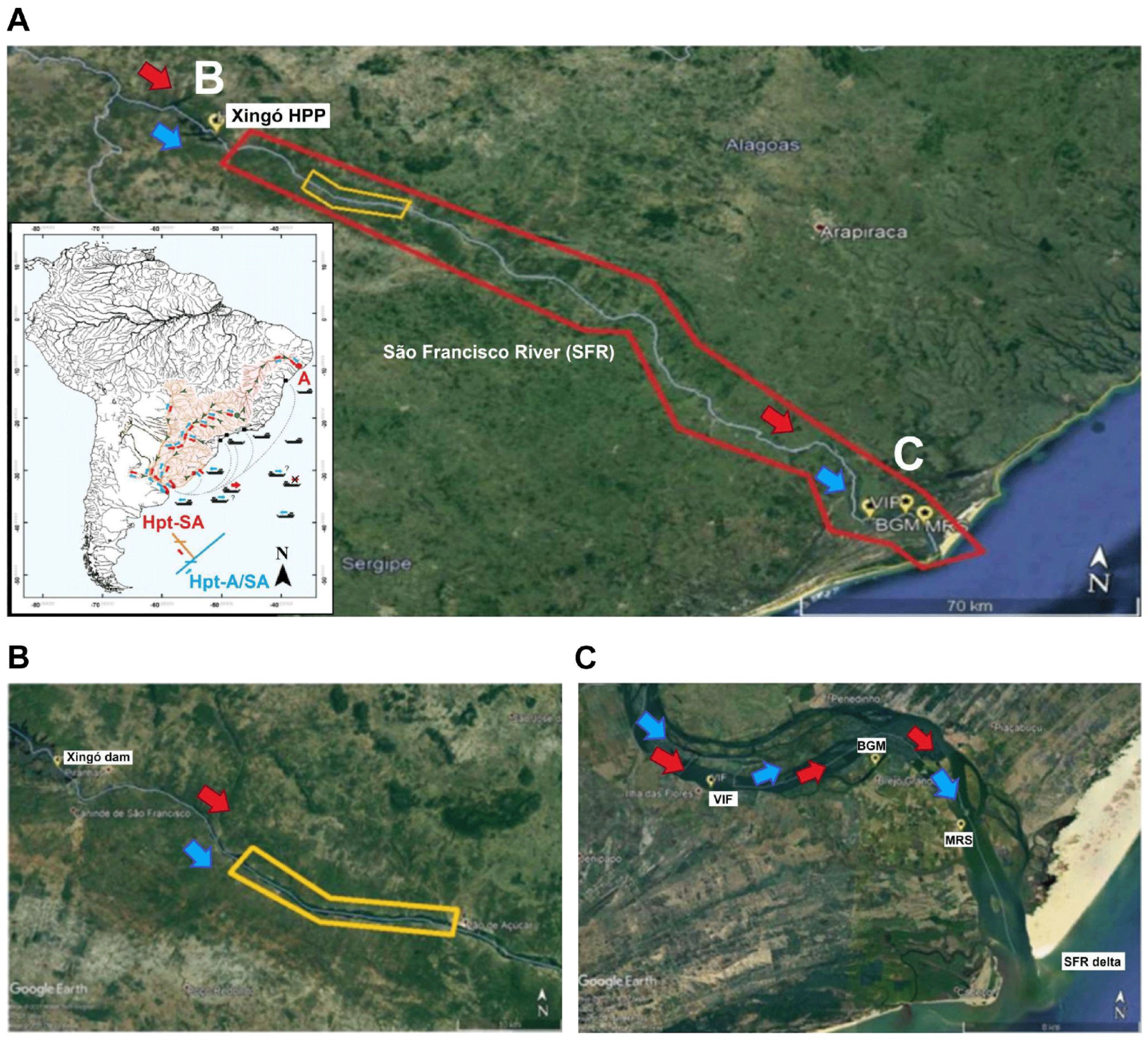 Preprints 140768 g001