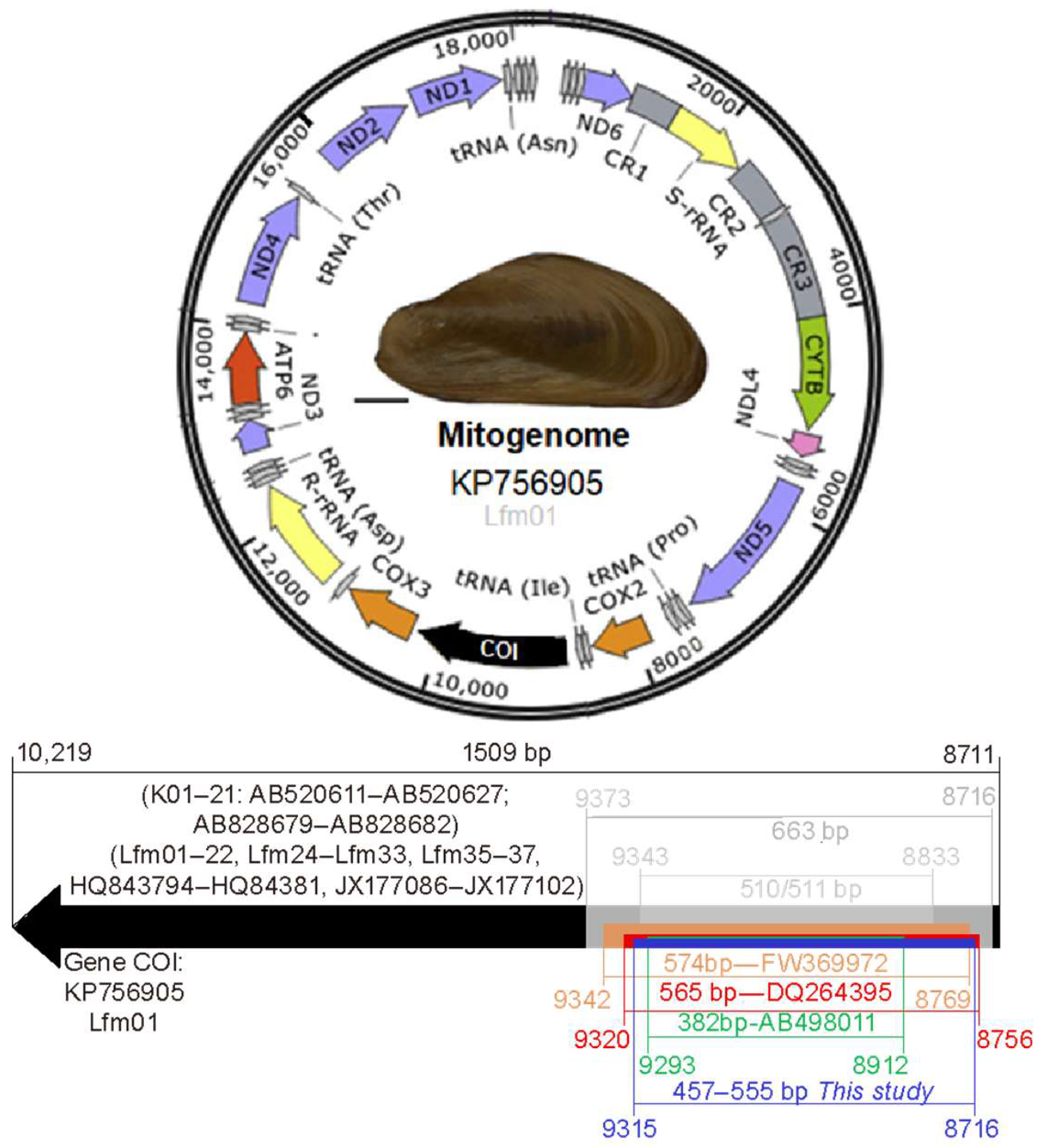 Preprints 140768 g002