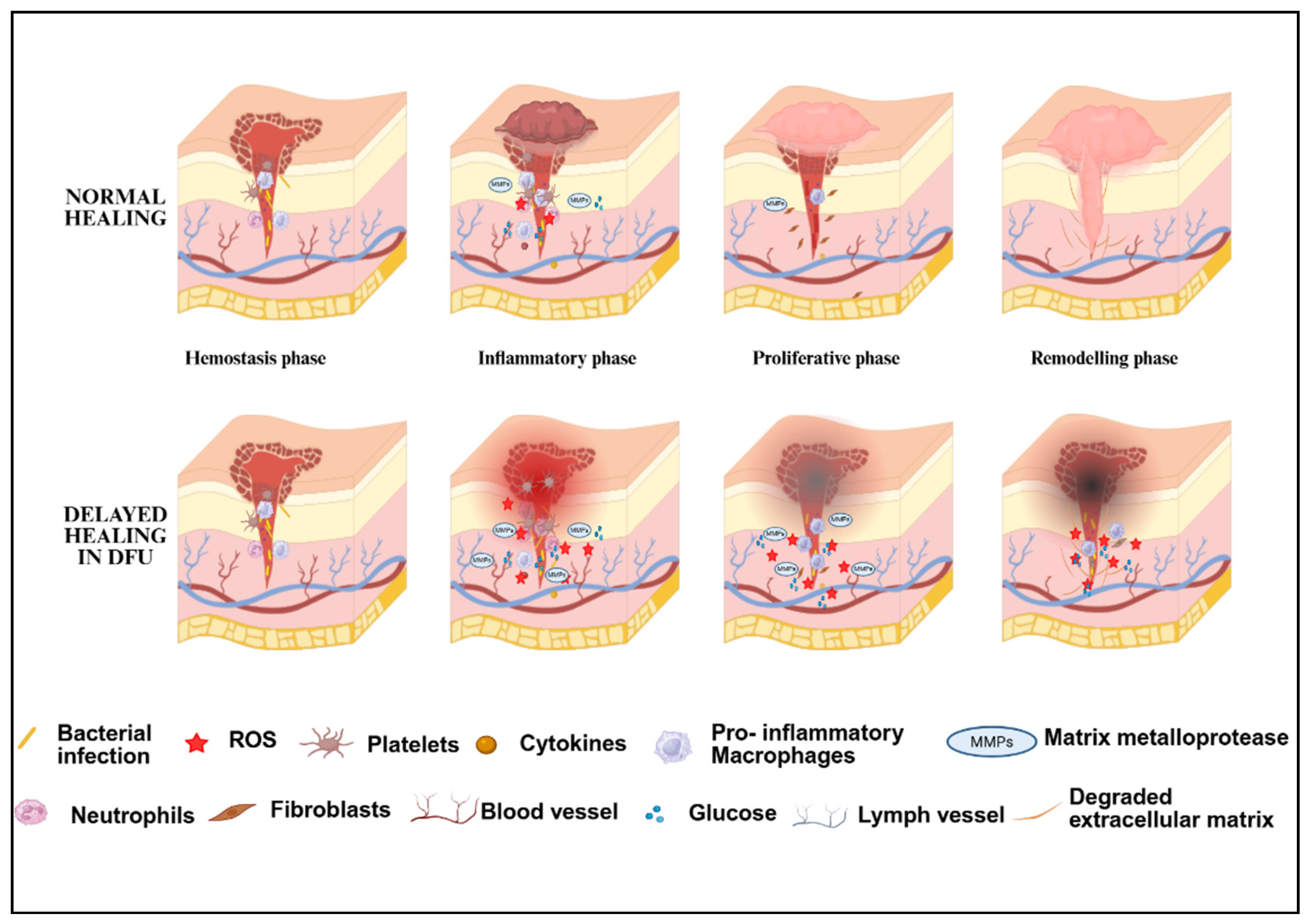 Preprints 166010 g002