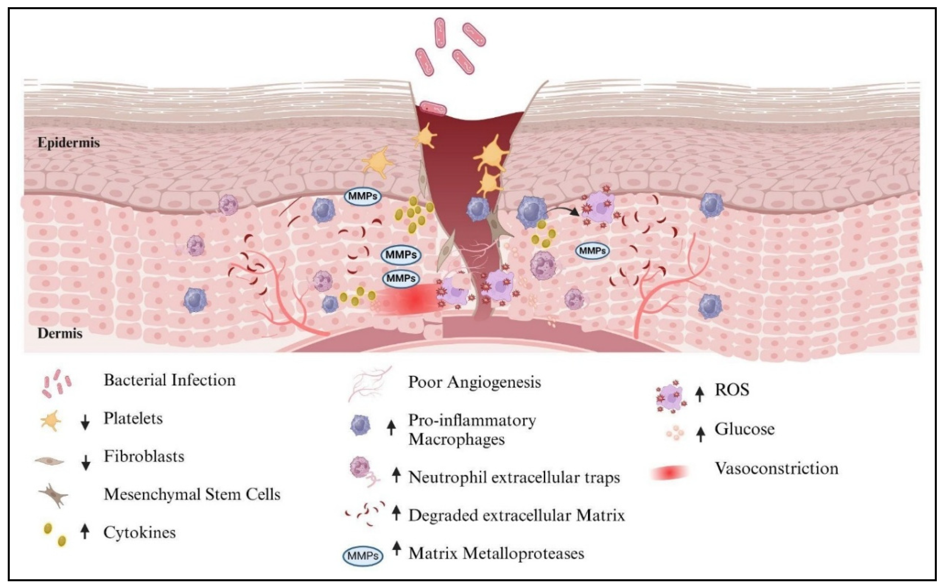 Preprints 166010 g003