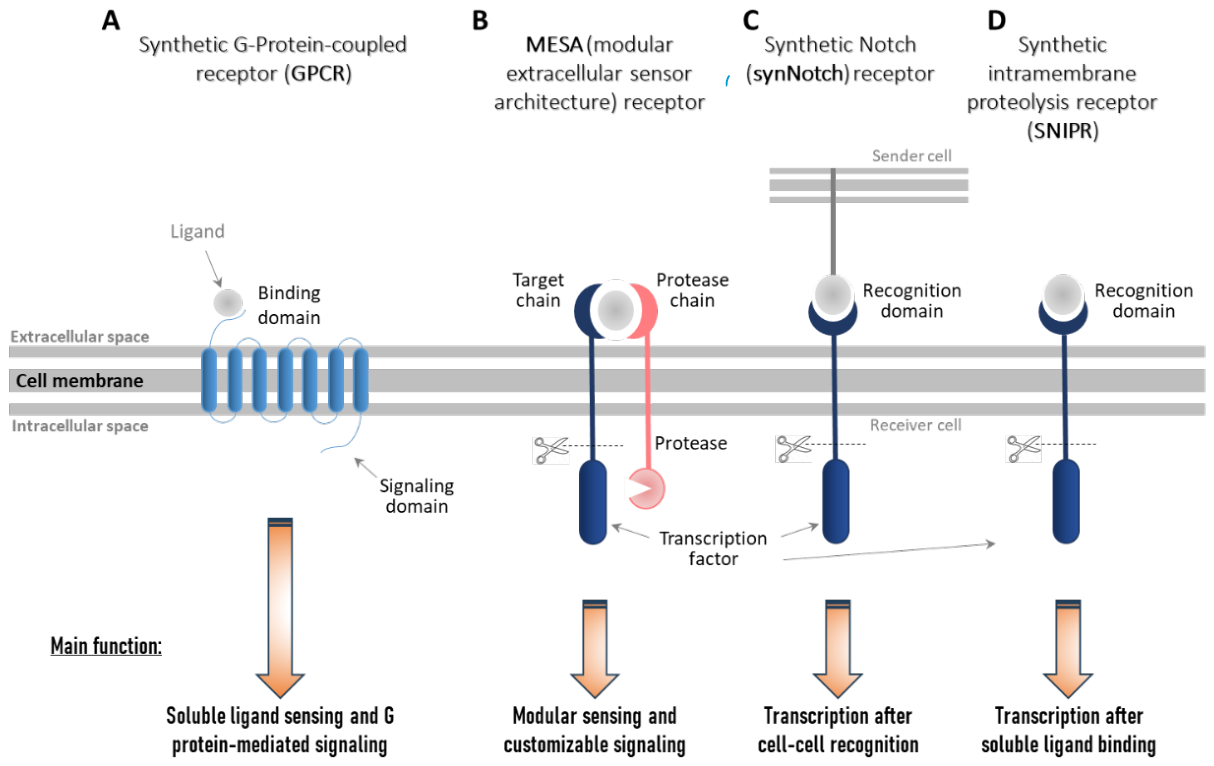 Preprints 233802 g001 Preprints 233802 g001