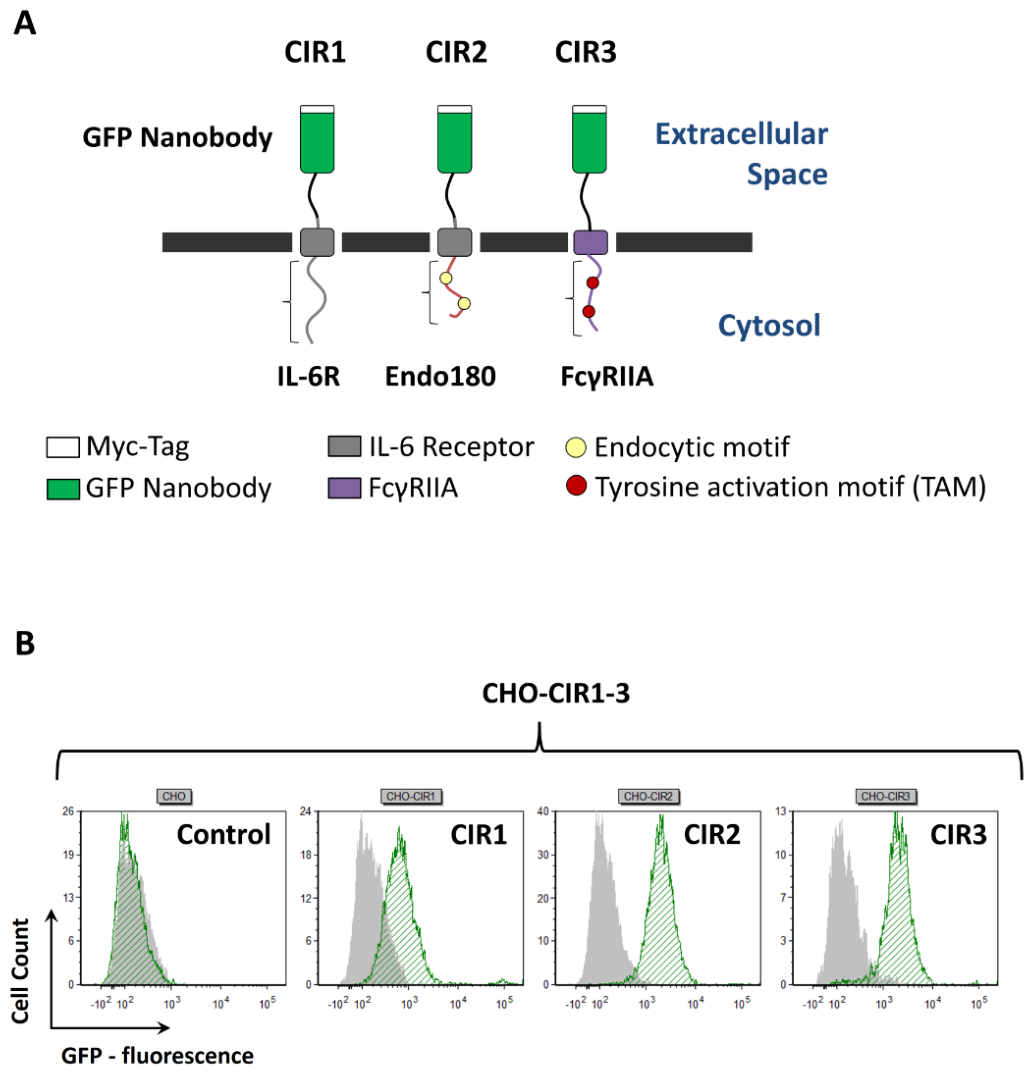 Preprints 233802 g003 Preprints 233802 g003