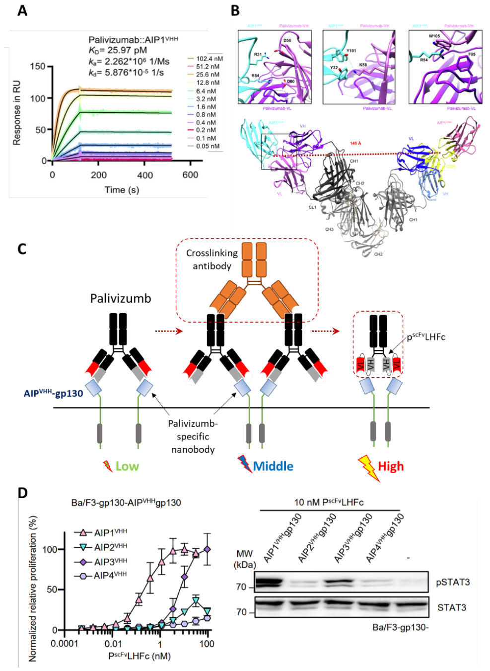 Preprints 233802 g006 Preprints 233802 g006