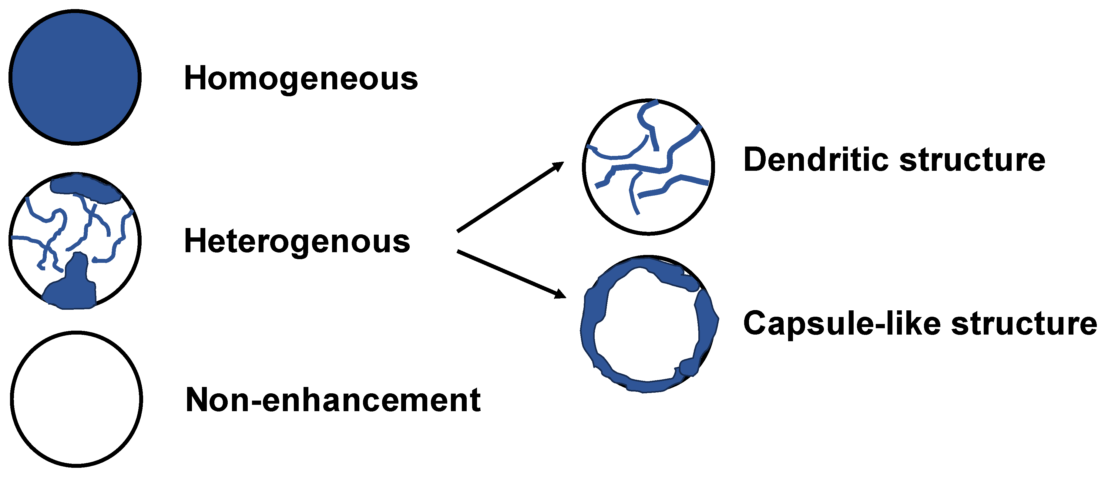 Preprints 147067 g002