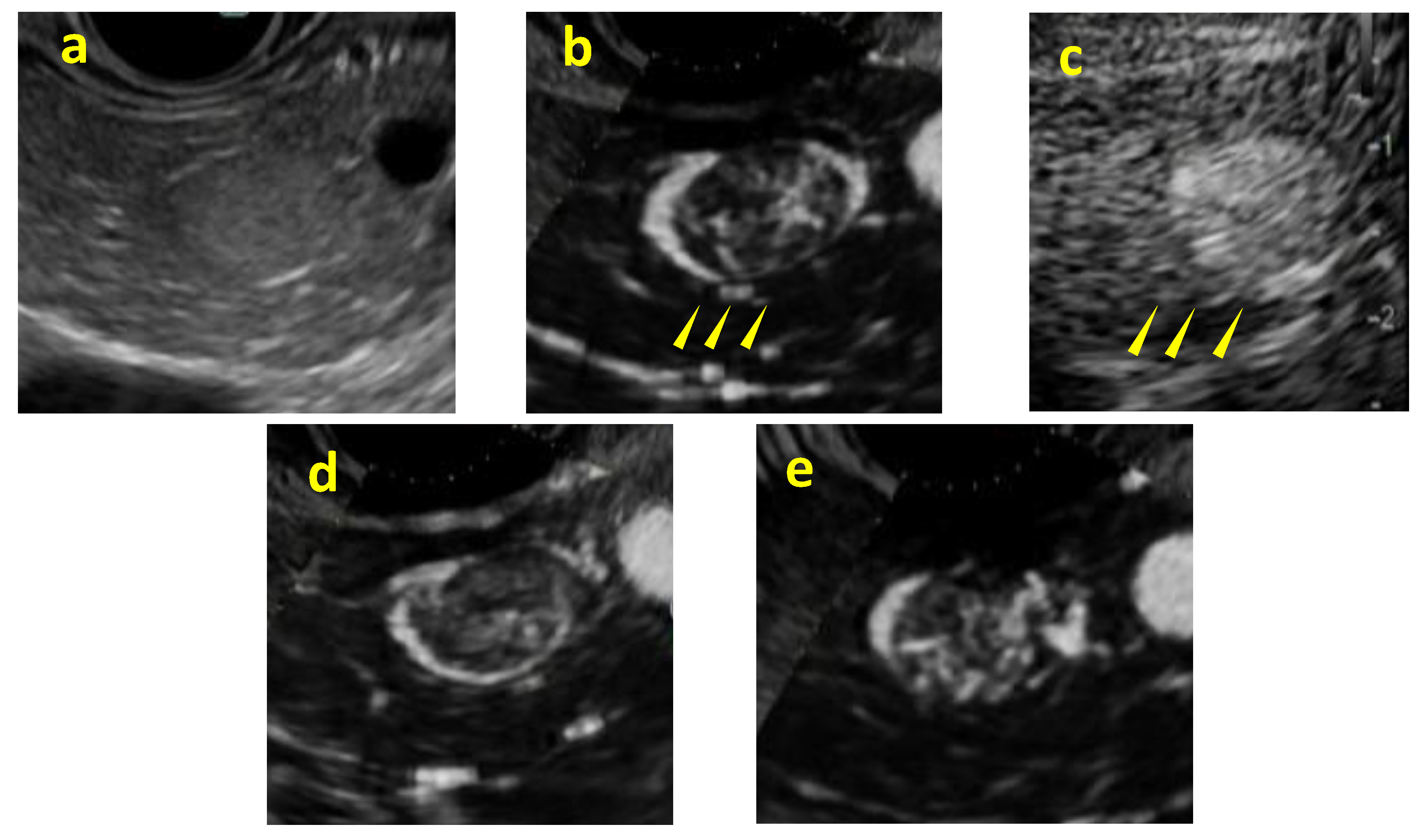 Preprints 147067 g004