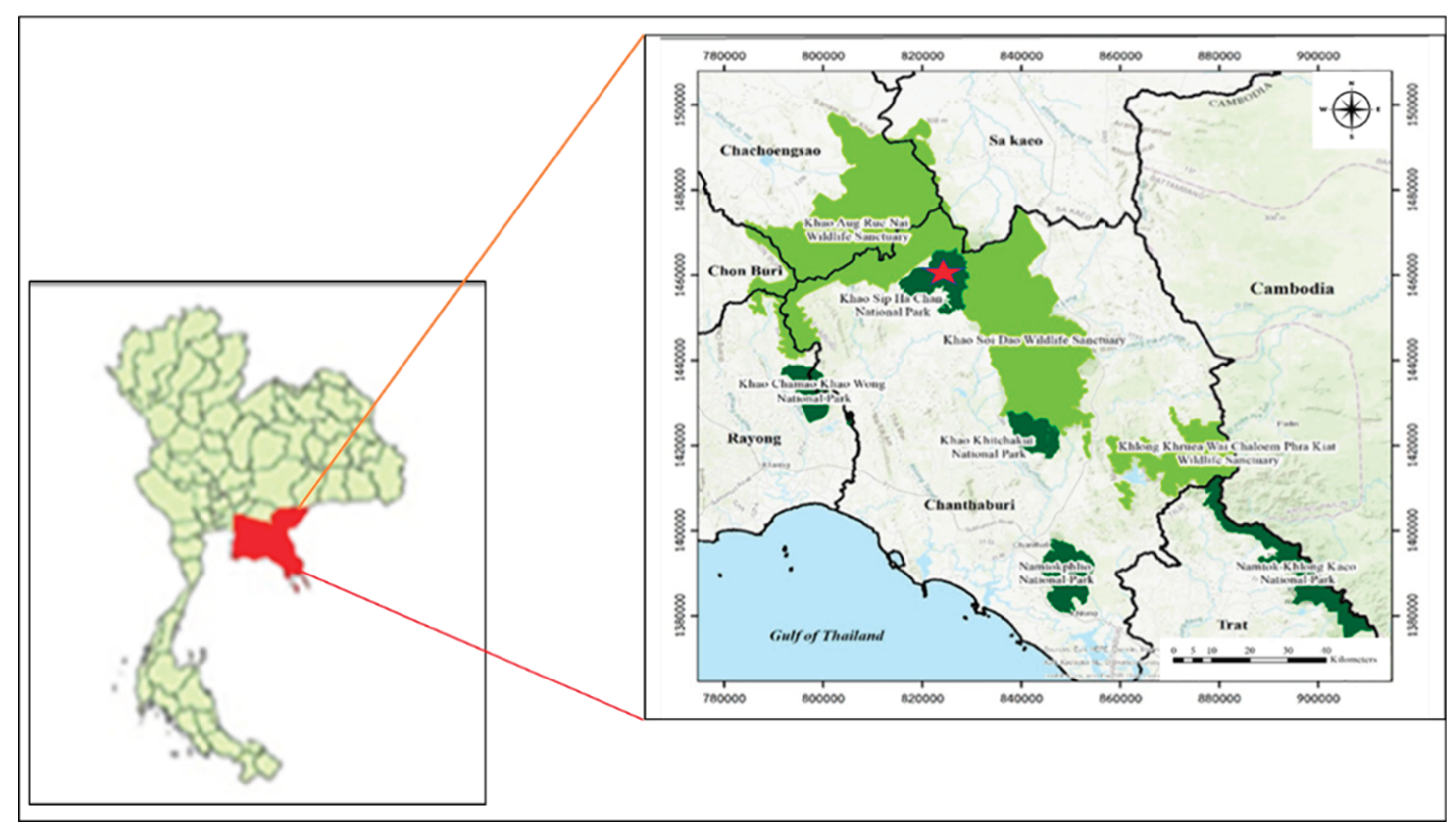 Preprints 196069 g001