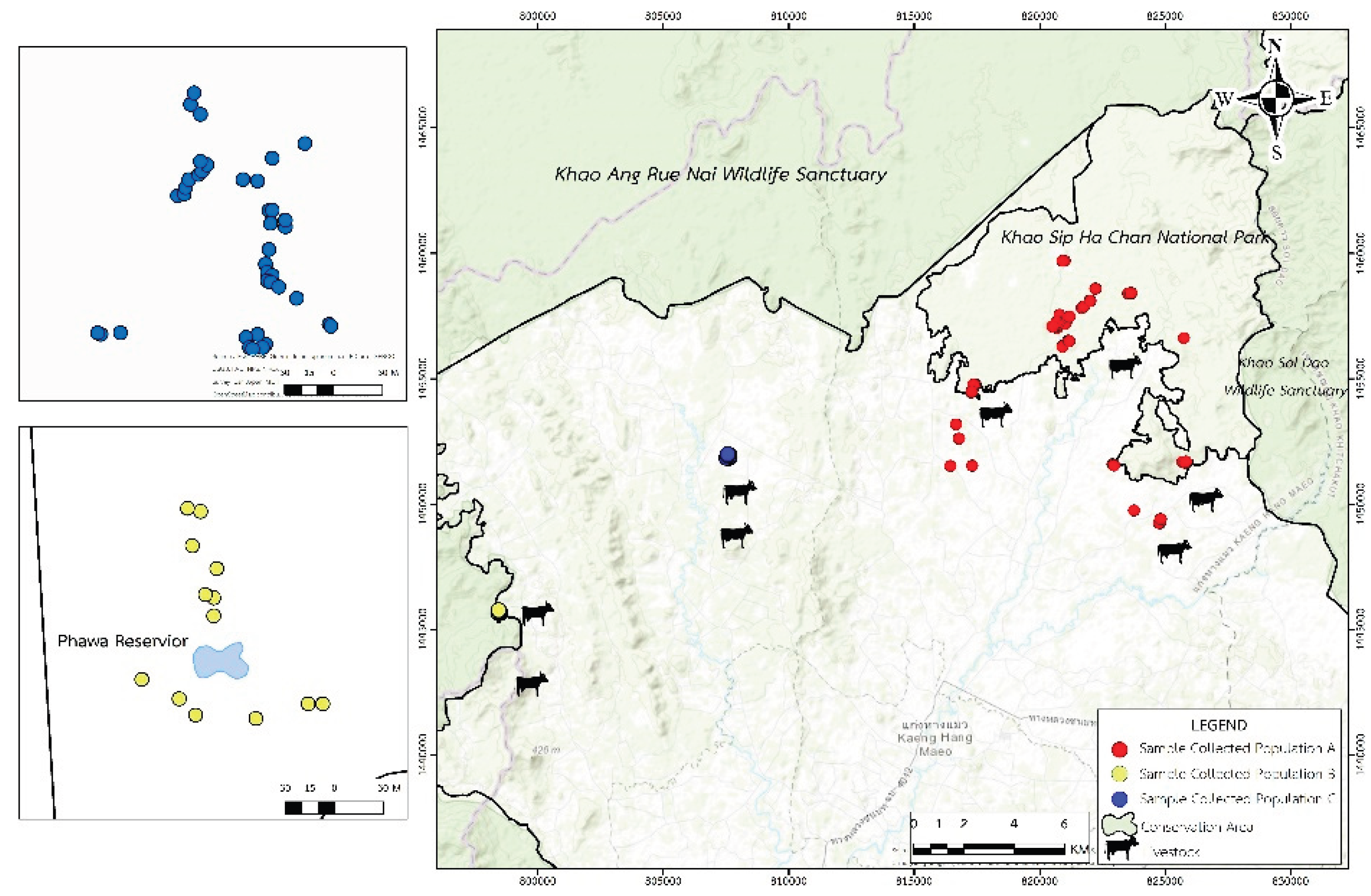 Preprints 196069 g002