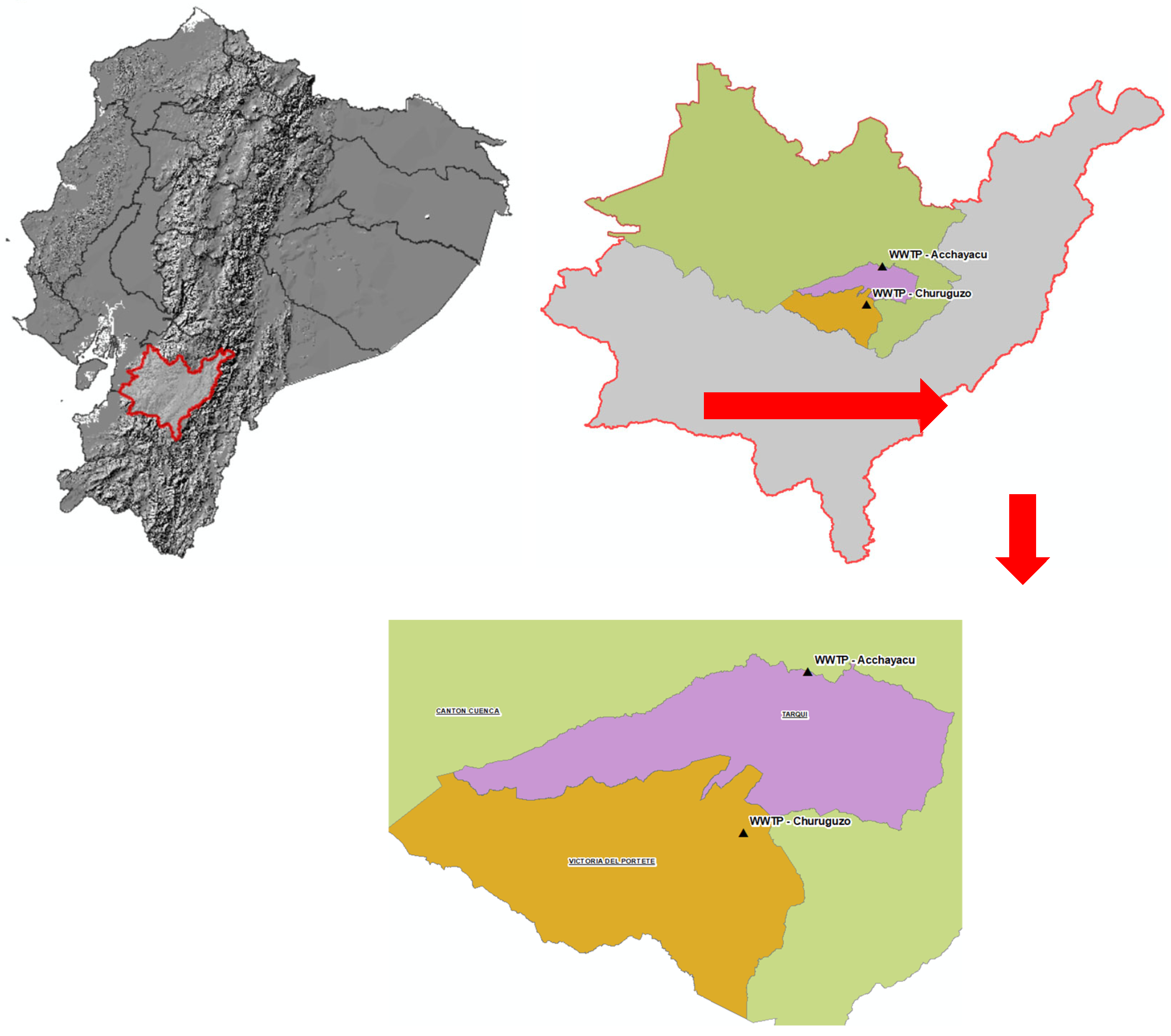 Preprints 157046 g001