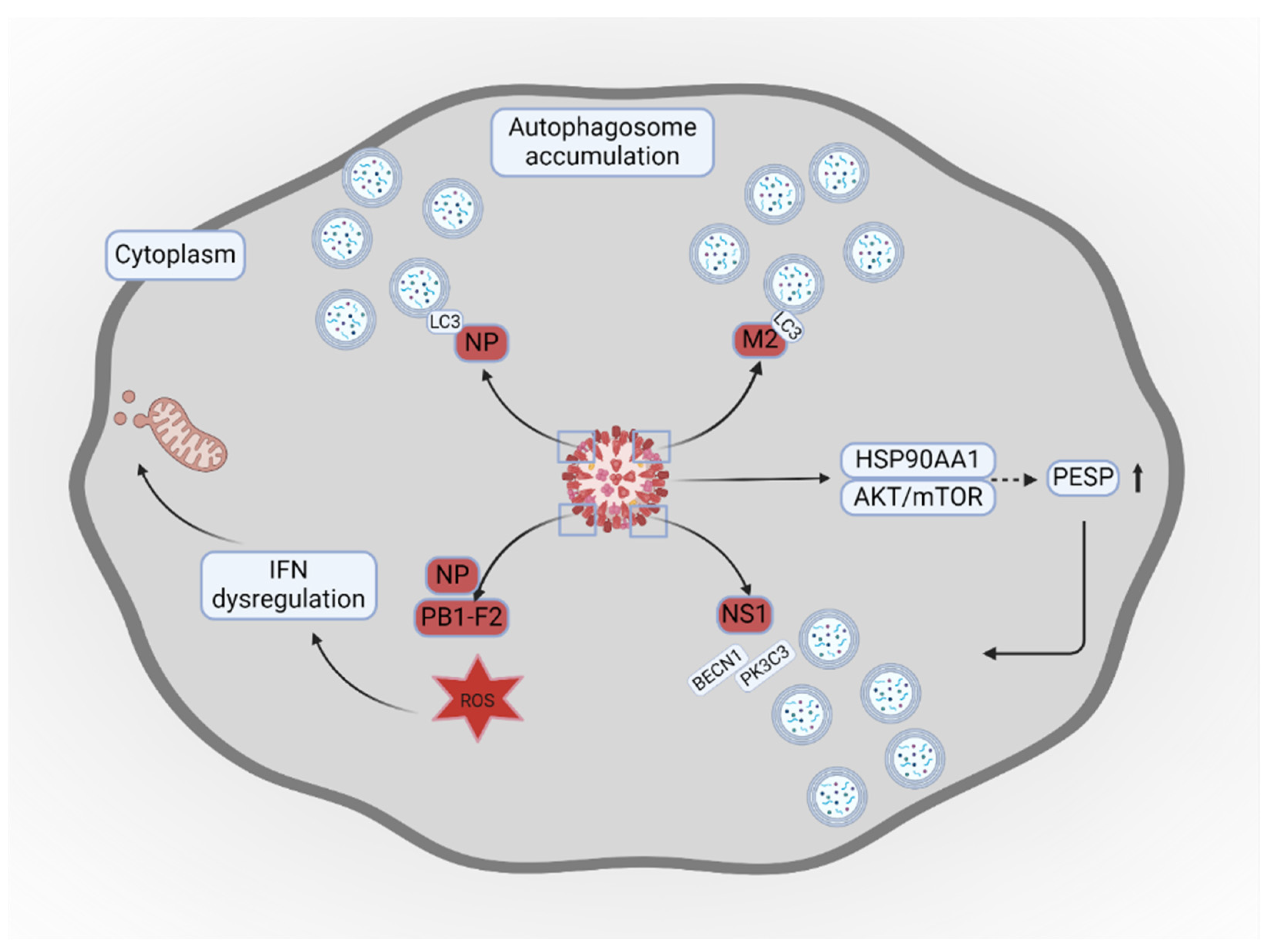 Preprints 145828 g002