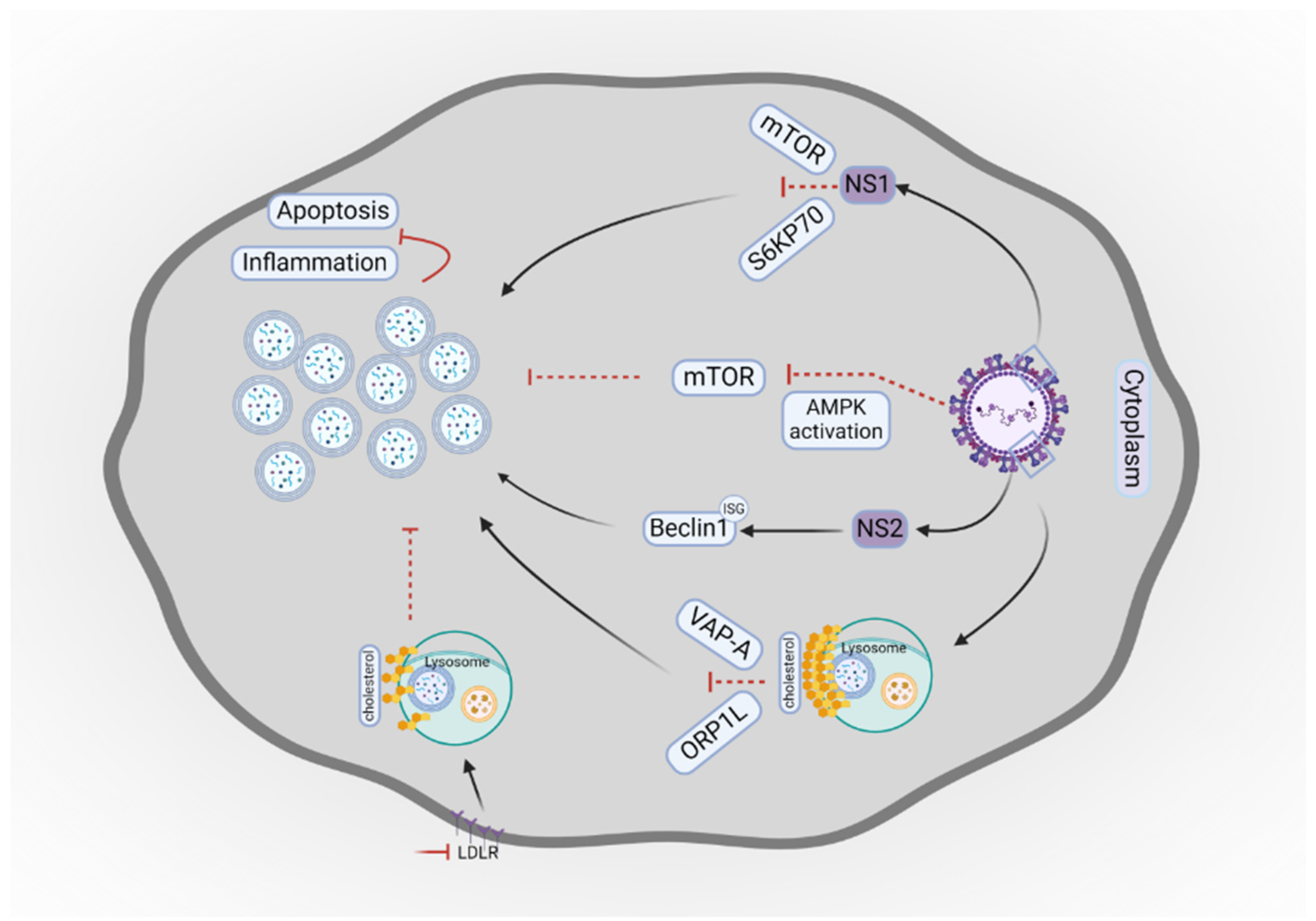Preprints 145828 g003