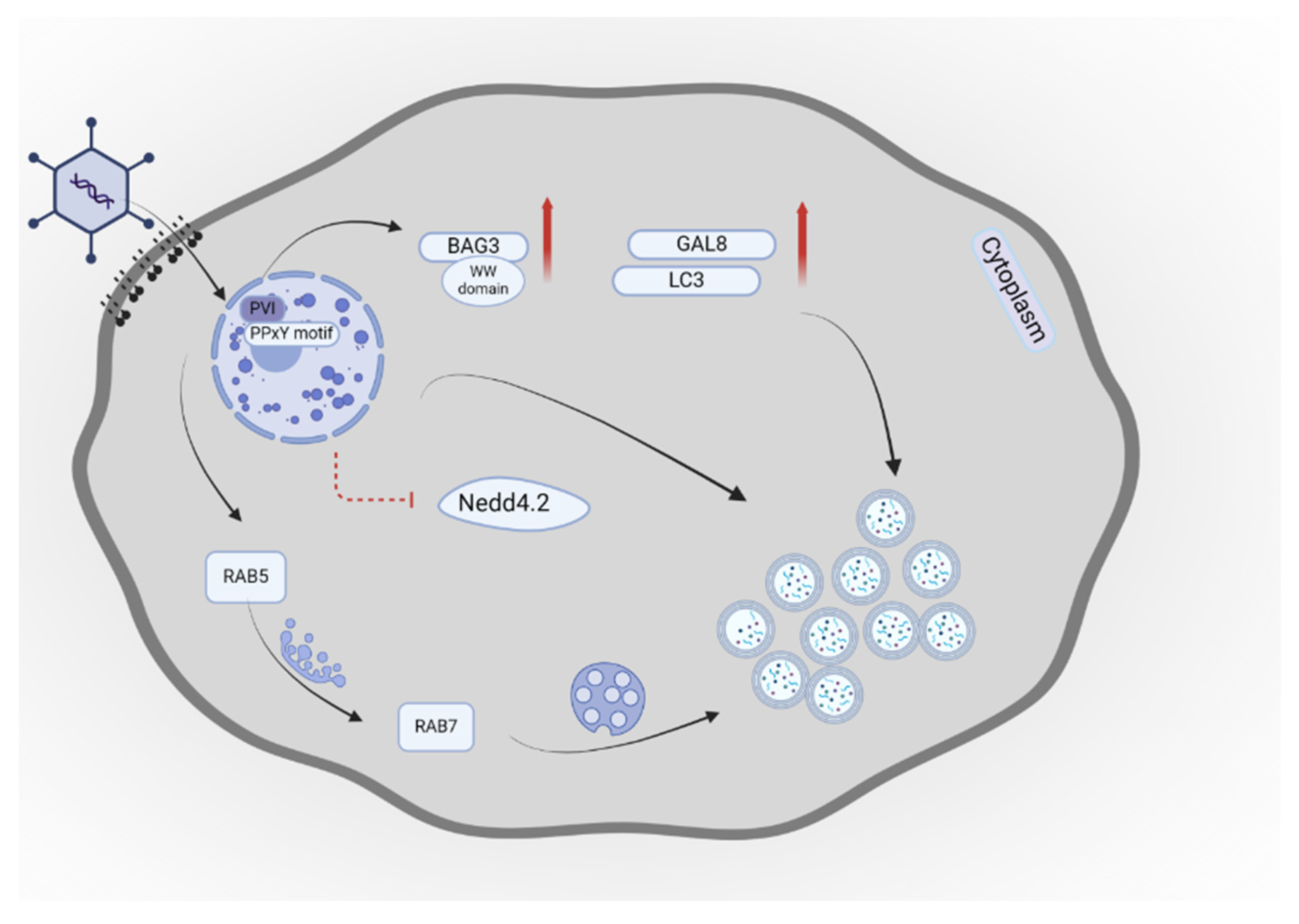 Preprints 145828 g006