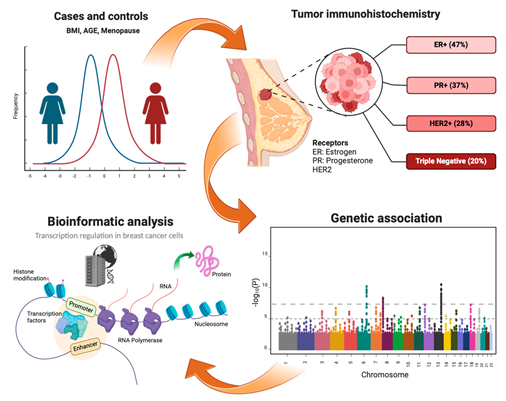 Preprints 147003 i001
