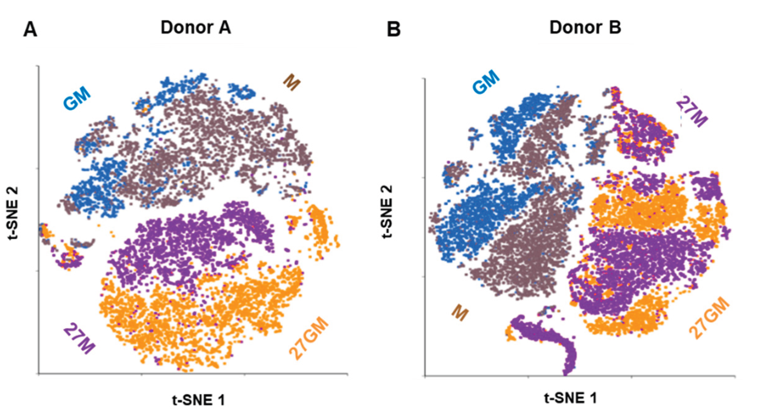 Preprints 194303 g002