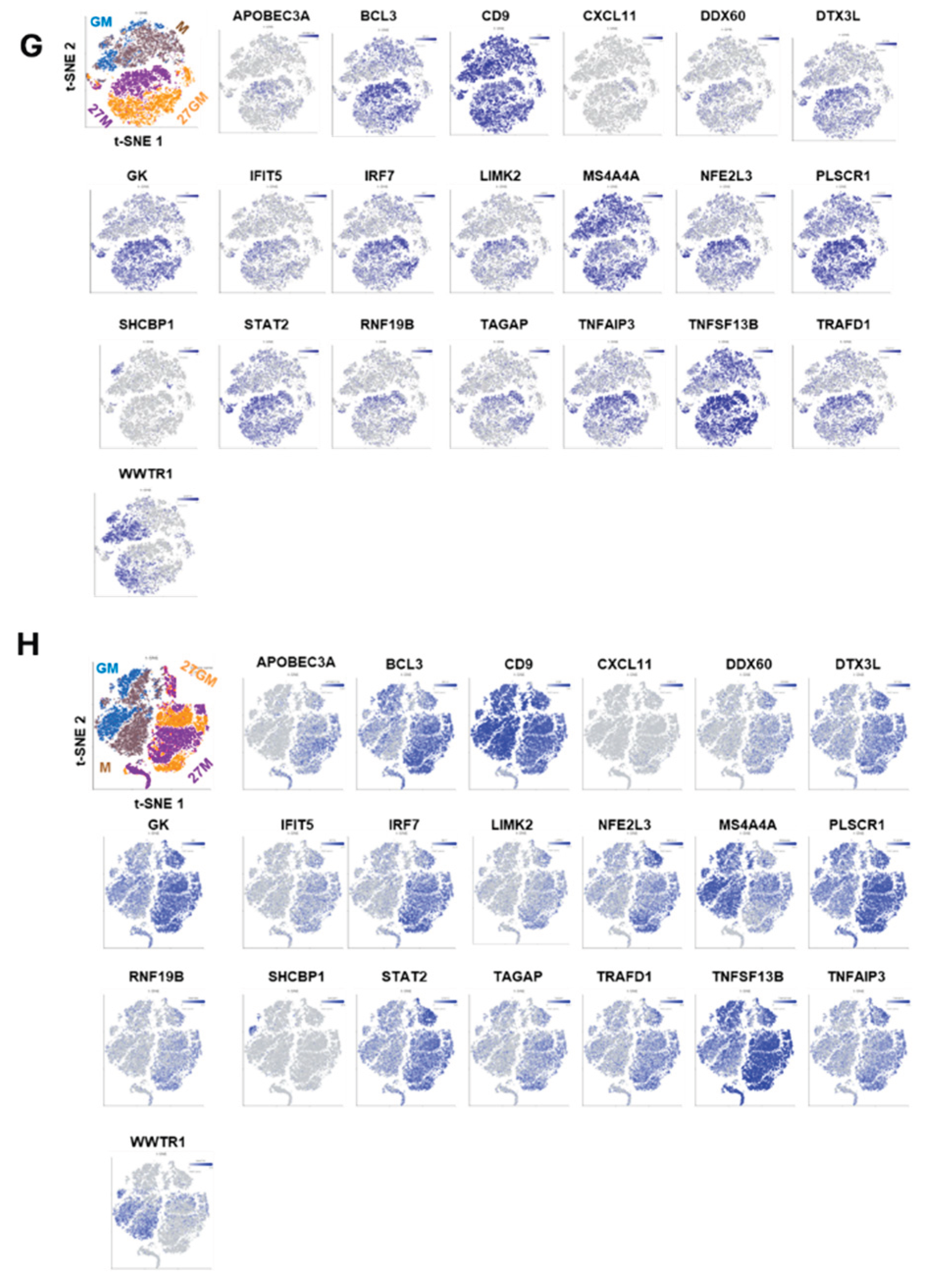Preprints 194303 g004b