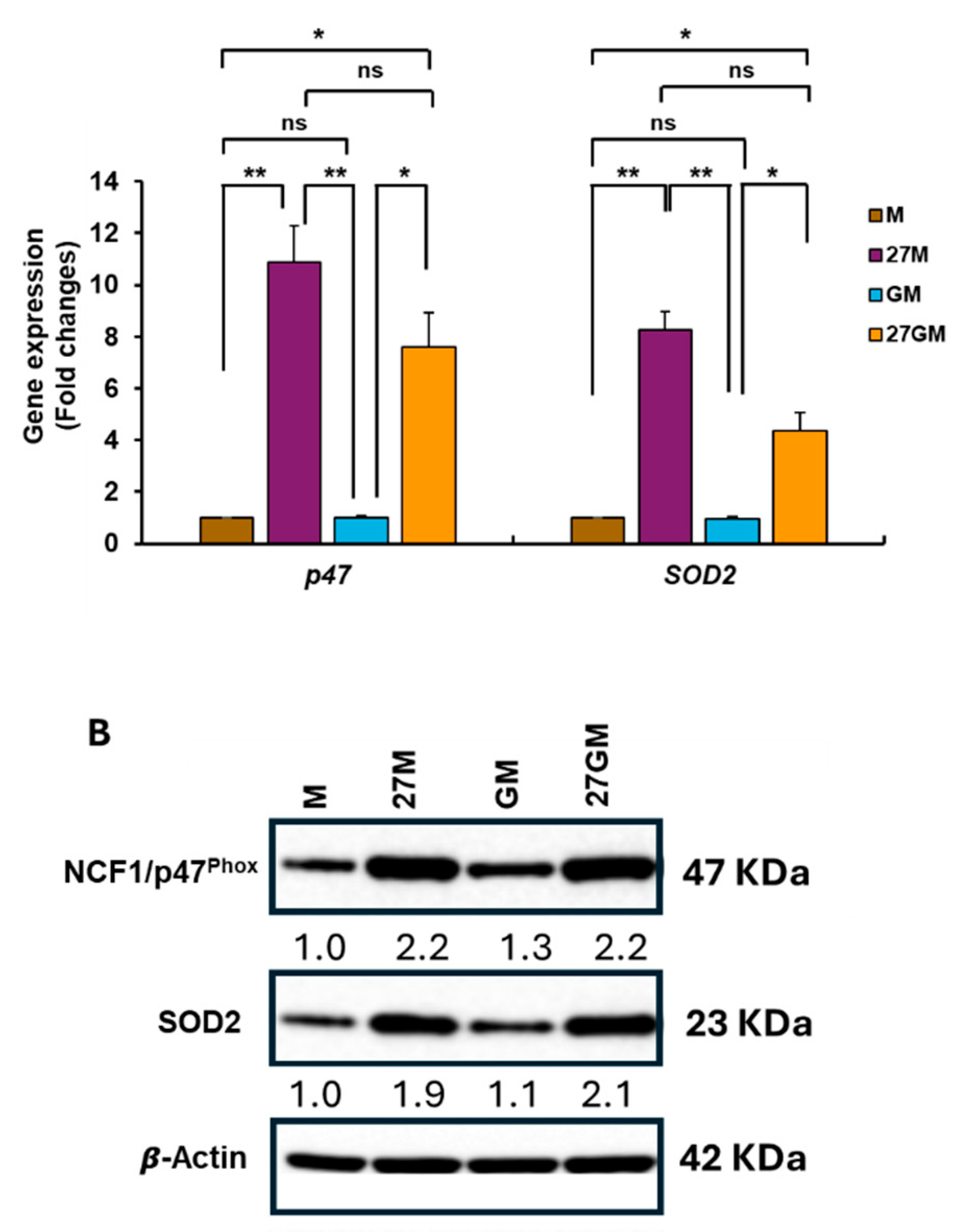 Preprints 194303 g008