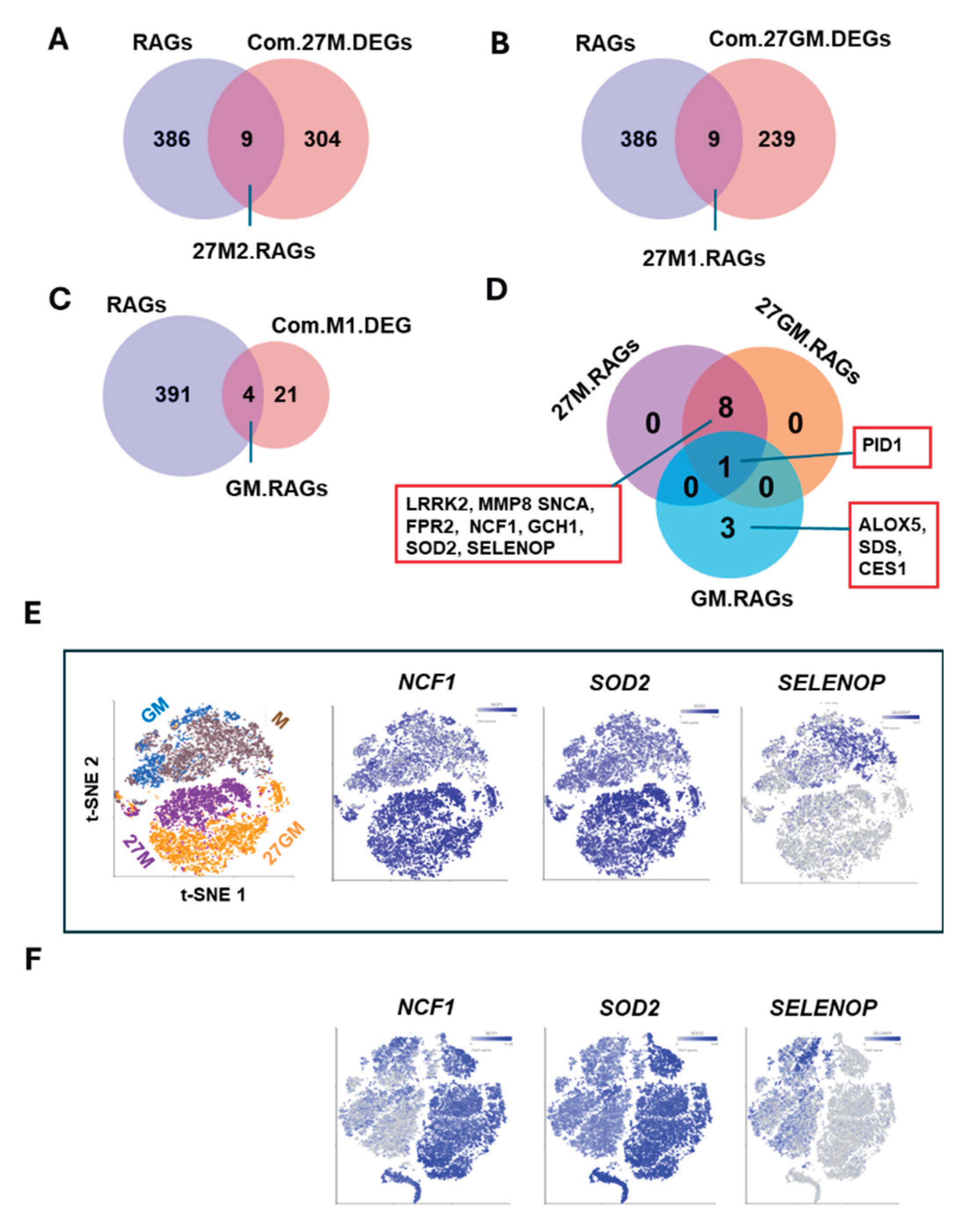 Preprints 194303 g009