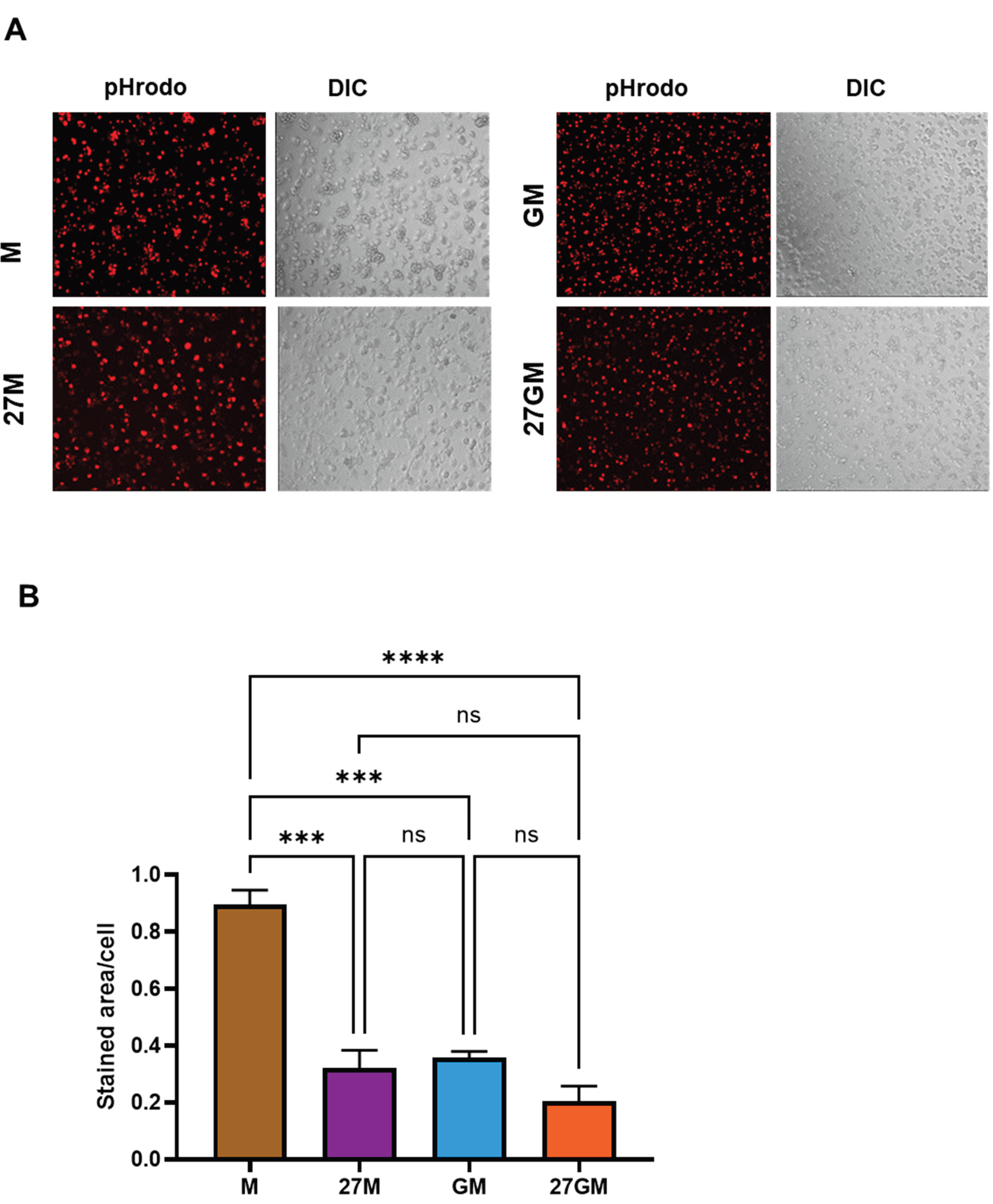 Preprints 194303 g010